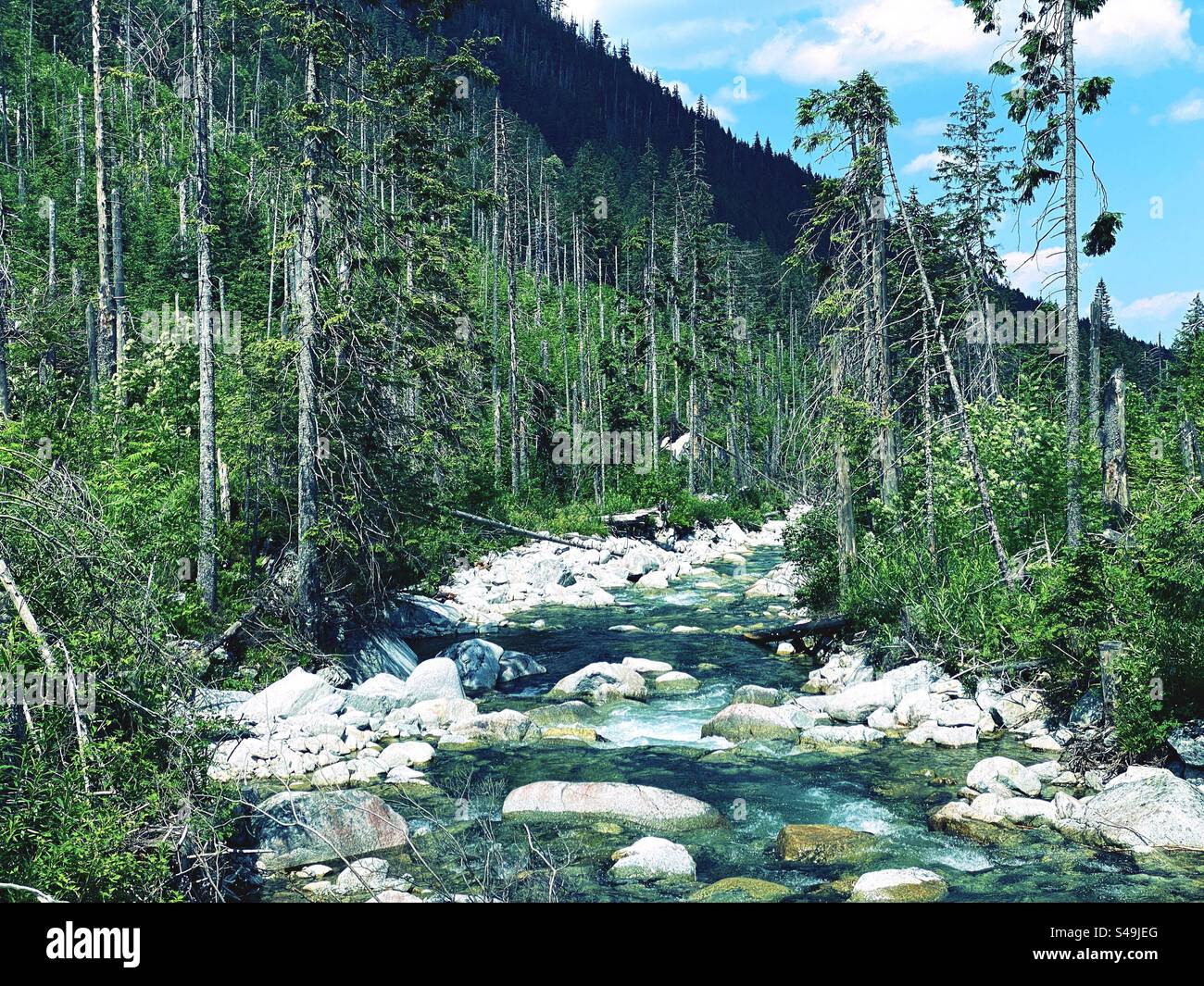 Tatra Mountains in Poland. Tatra National Park - Smartphone Captured Stock Image