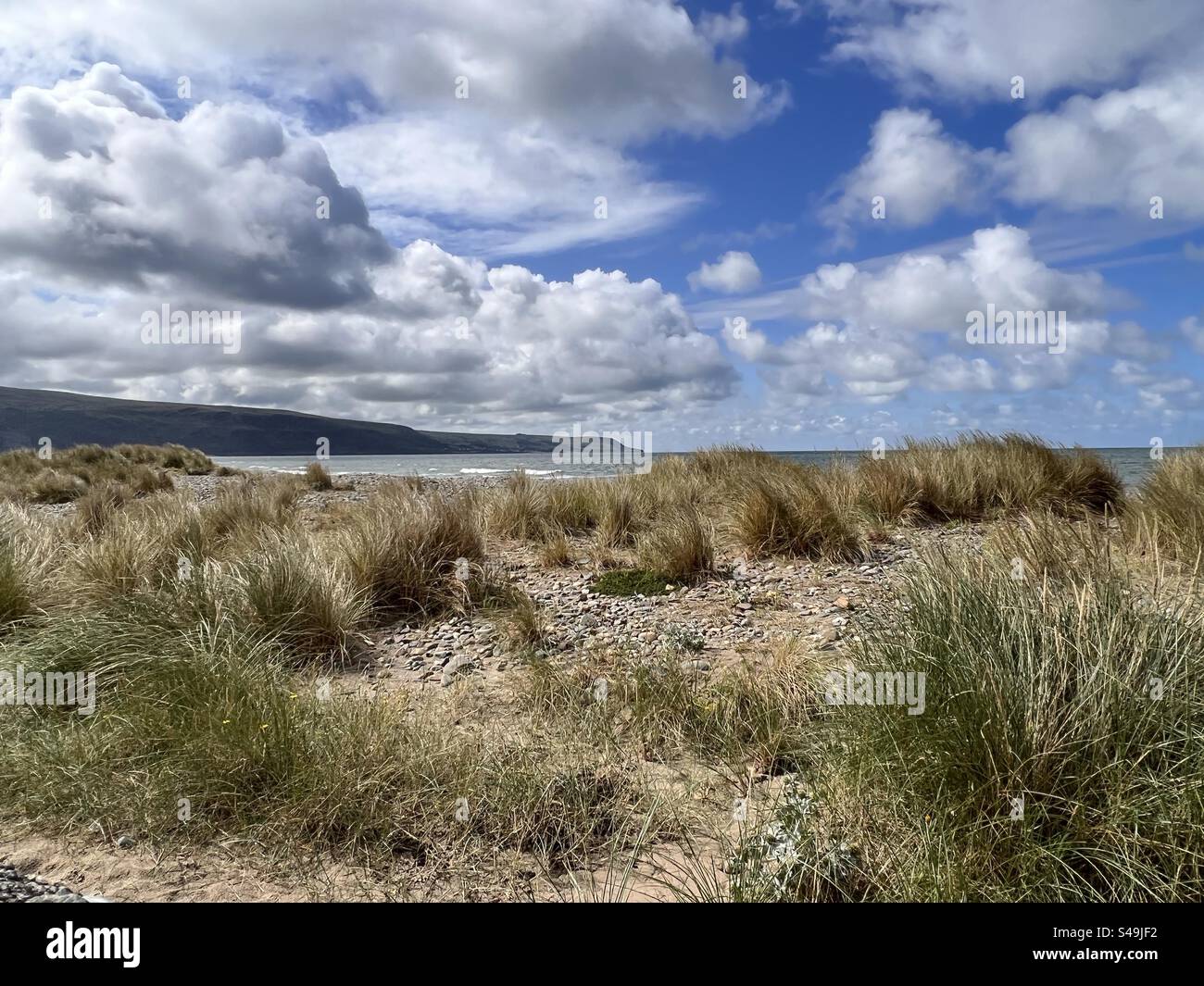 Seaside sanddunes and seagrass Stock Photo - Alamy