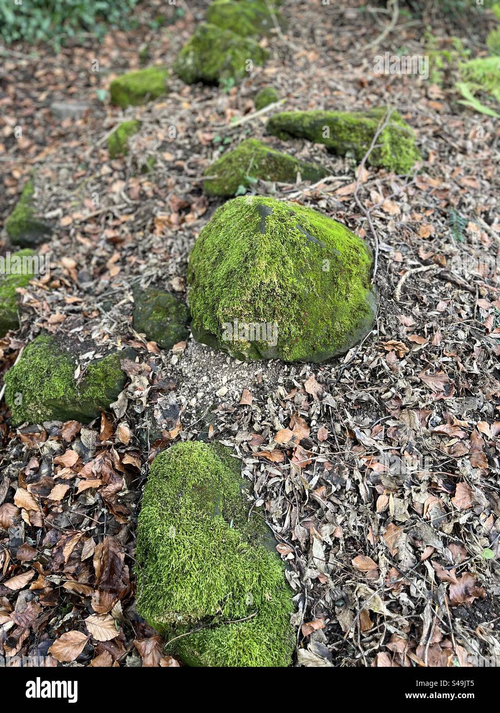 Moss and rocks hi-res stock photography and images - Alamy