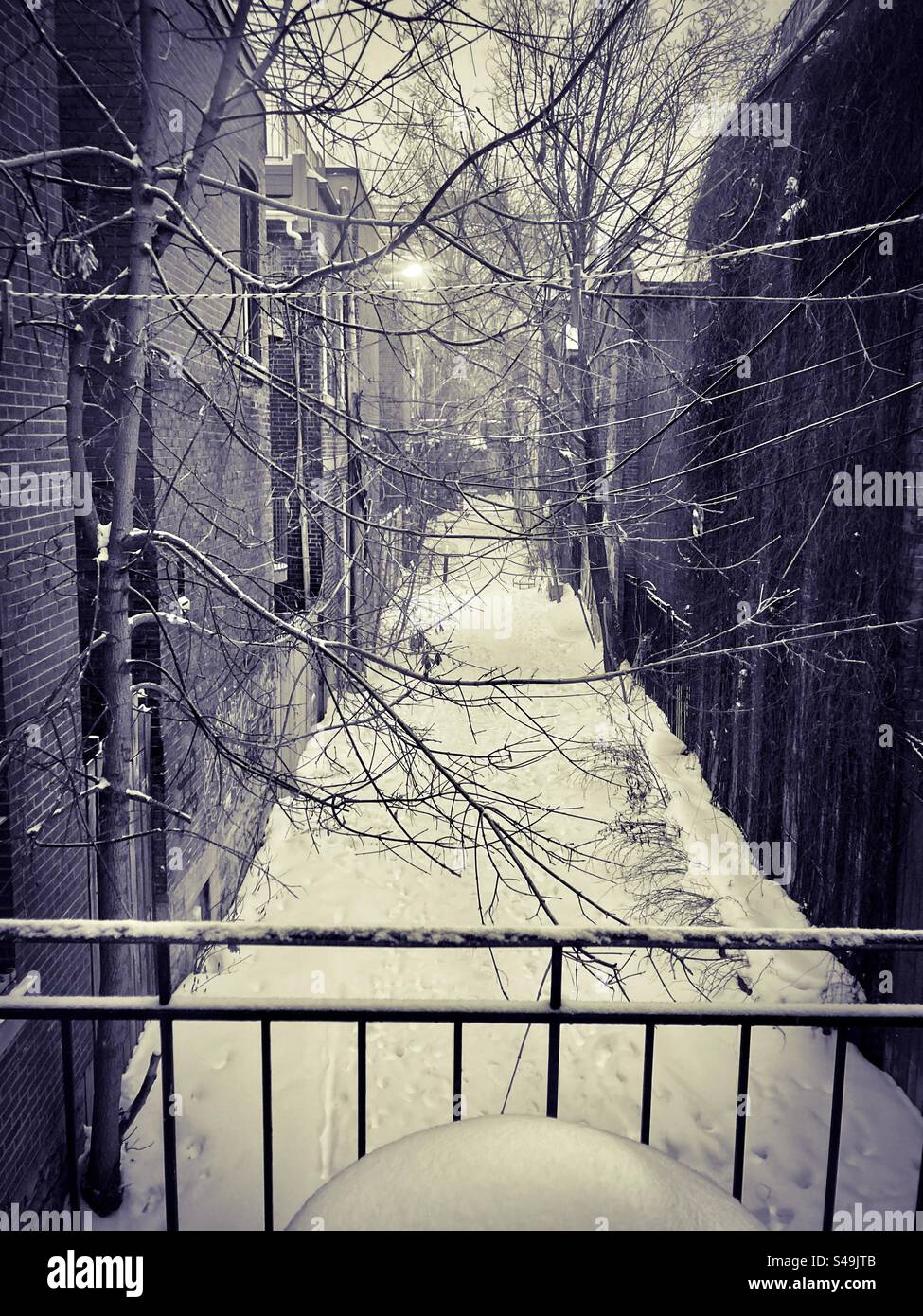 Snowy back alley in black and white. - Smartphone Captured Stock Image