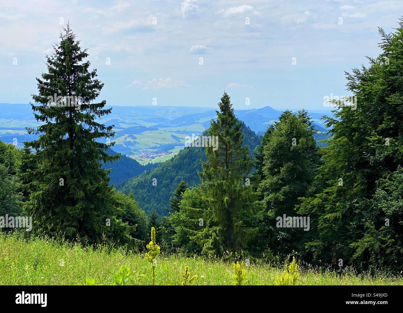 Pieniny mountains in Poland - Smartphone Captured Stock Image