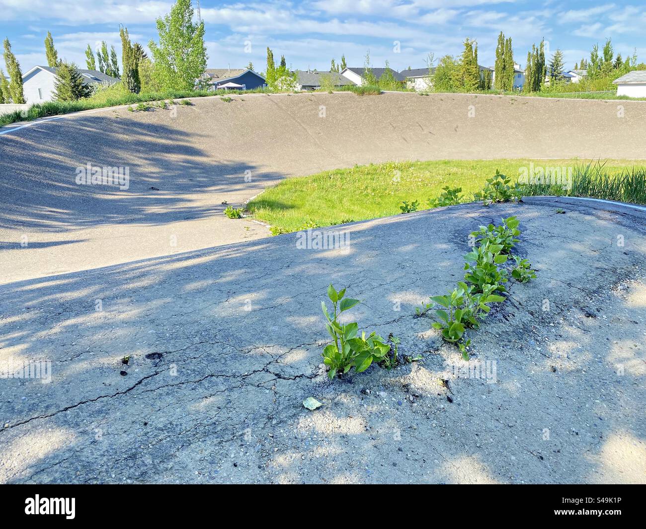 Weeds push through the asphalt on a BMX track. Stock Photo