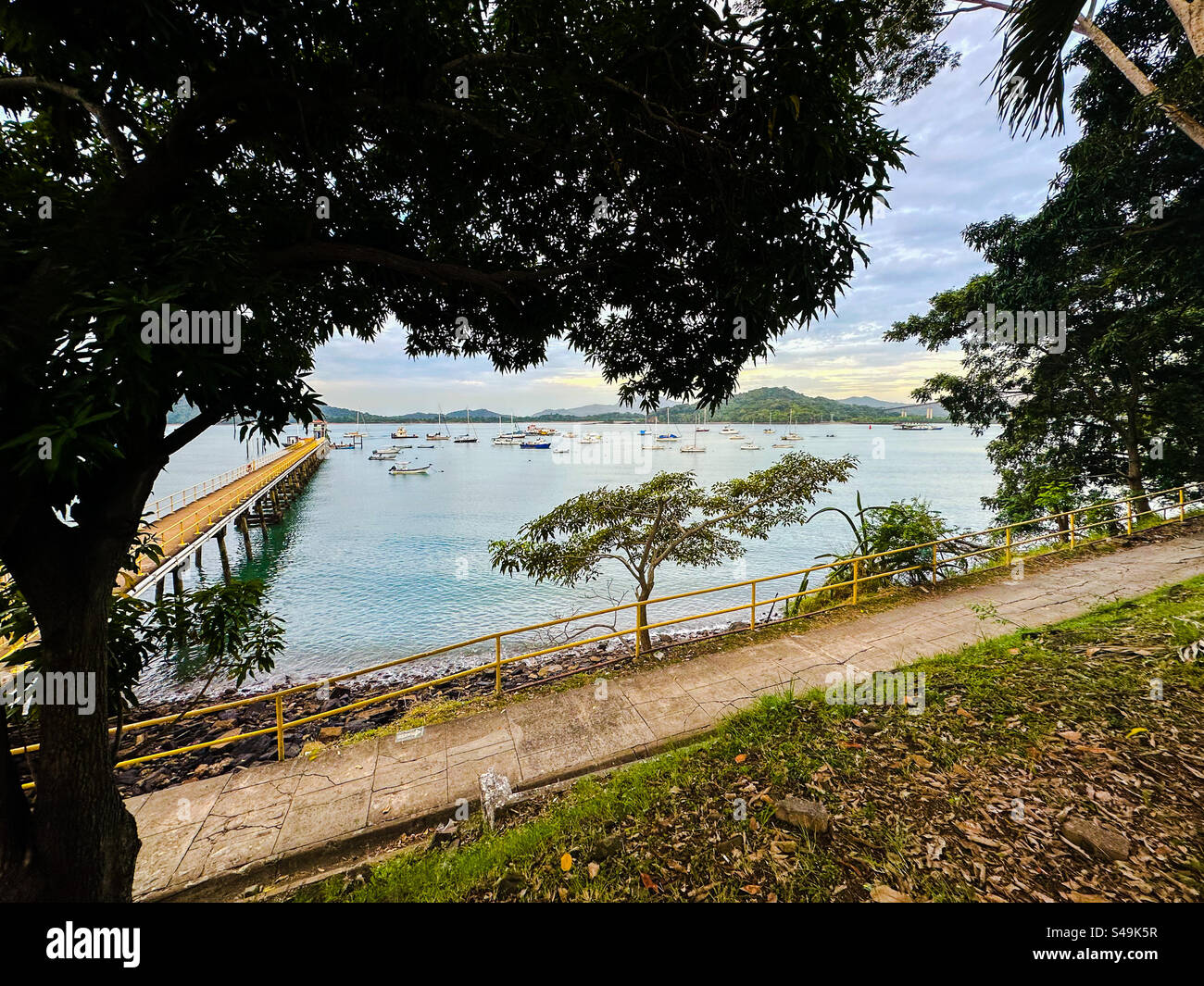 Pacific entrance to the Panama canal. Bridge of the Americas in the background framed by tree branches - Smartphone Captured Stock Image