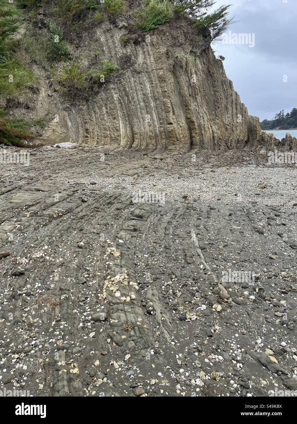 Geology, folded rocks at Scott’s Landing, Auckland NZ Stock Photo