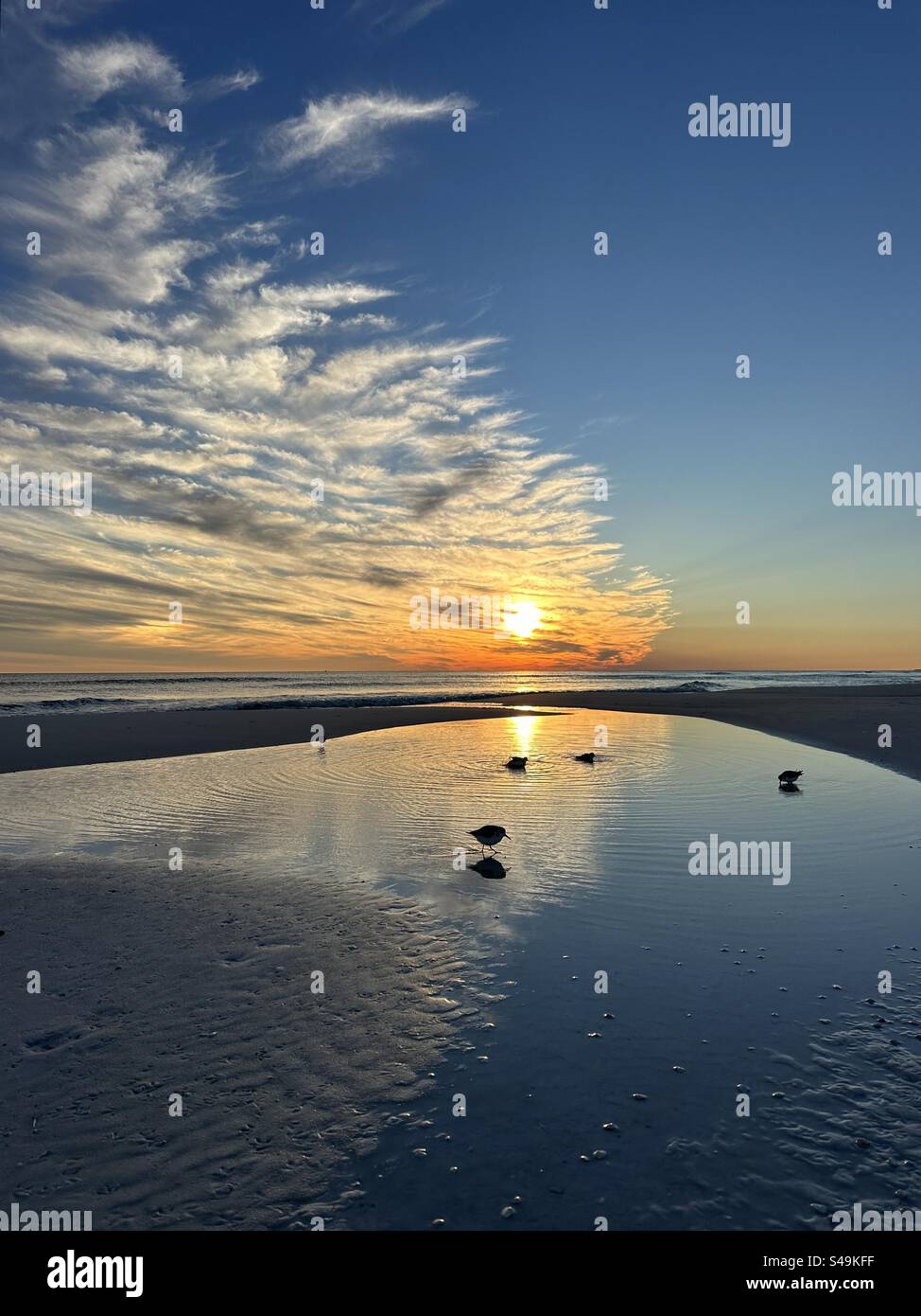 Sunset on the beach with reflections and bird silhouette at Henderson ...