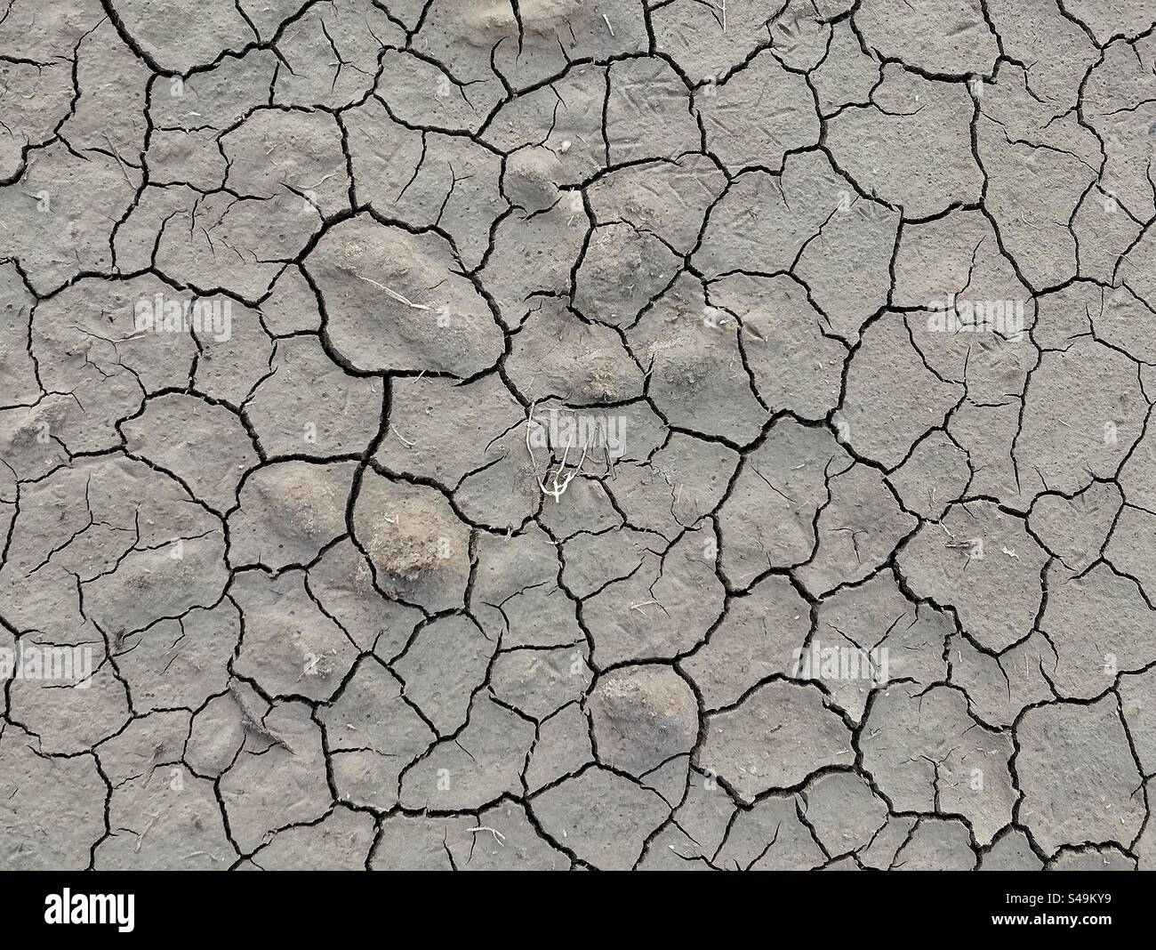 Cracked earth in Occitanie, France - Smartphone Captured Stock Image