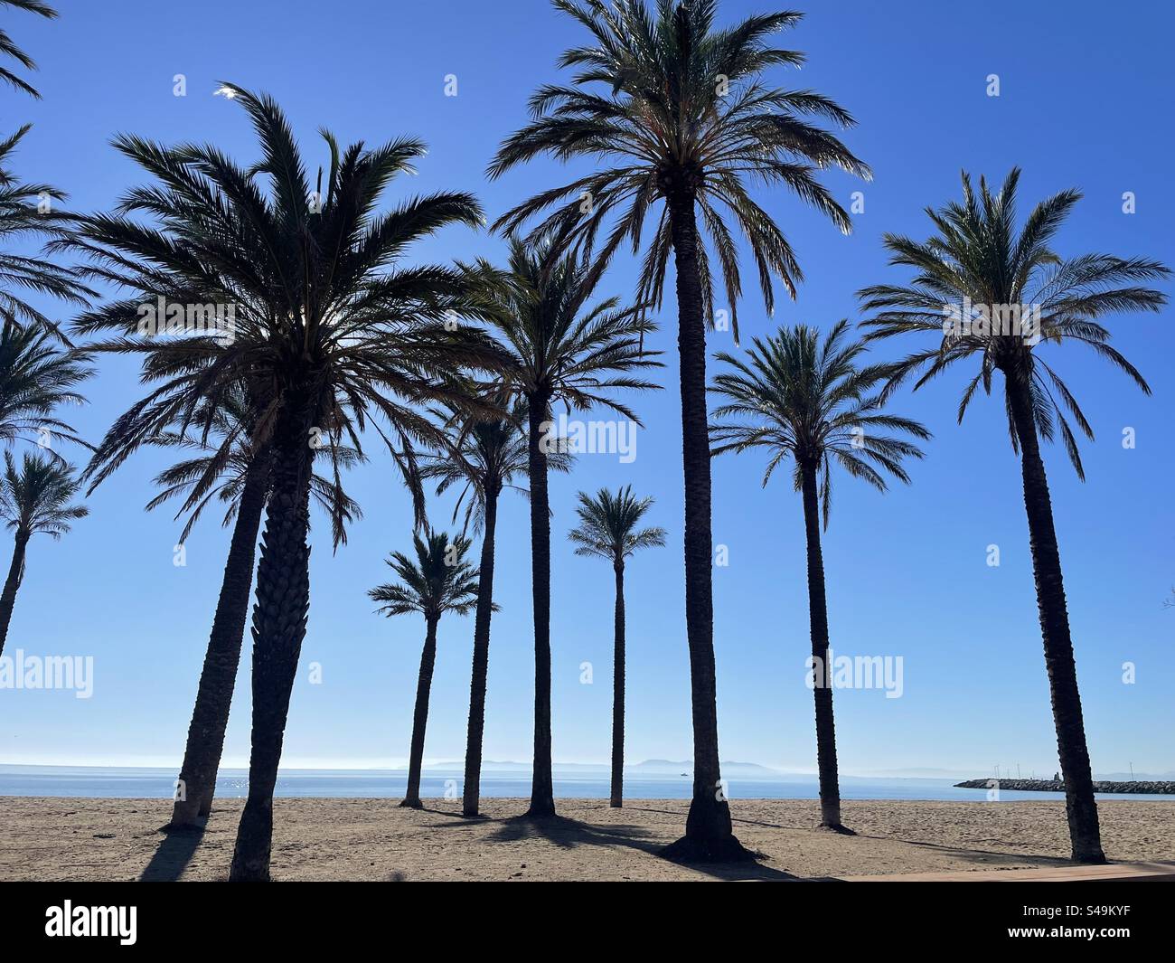 Beach Life, Santa Margarita - Smartphone Captured Stock Image