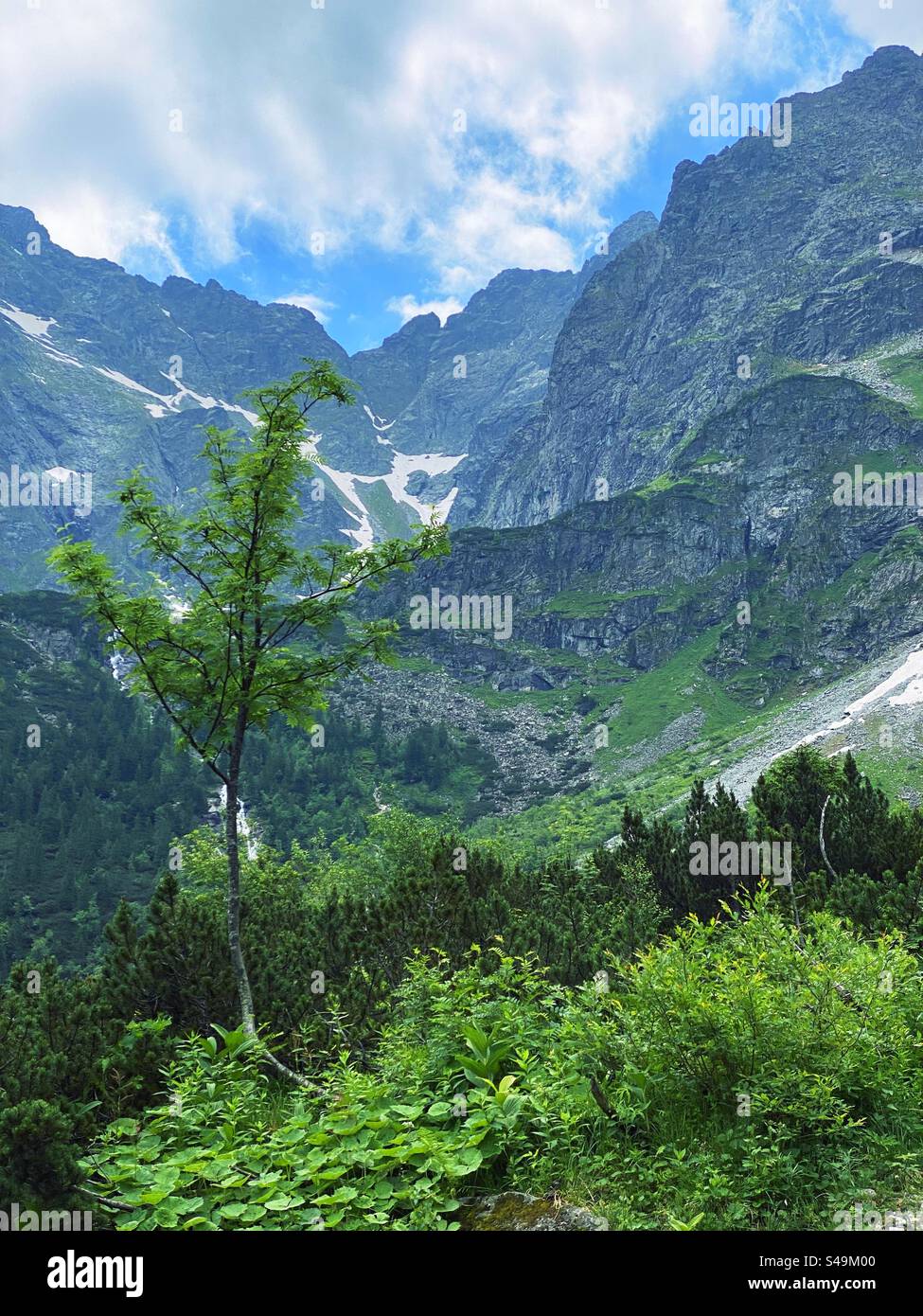 Tatra mountains - Smartphone Captured Stock Image