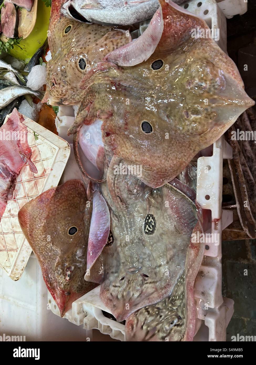 Fresh fish Souk Stock Photo