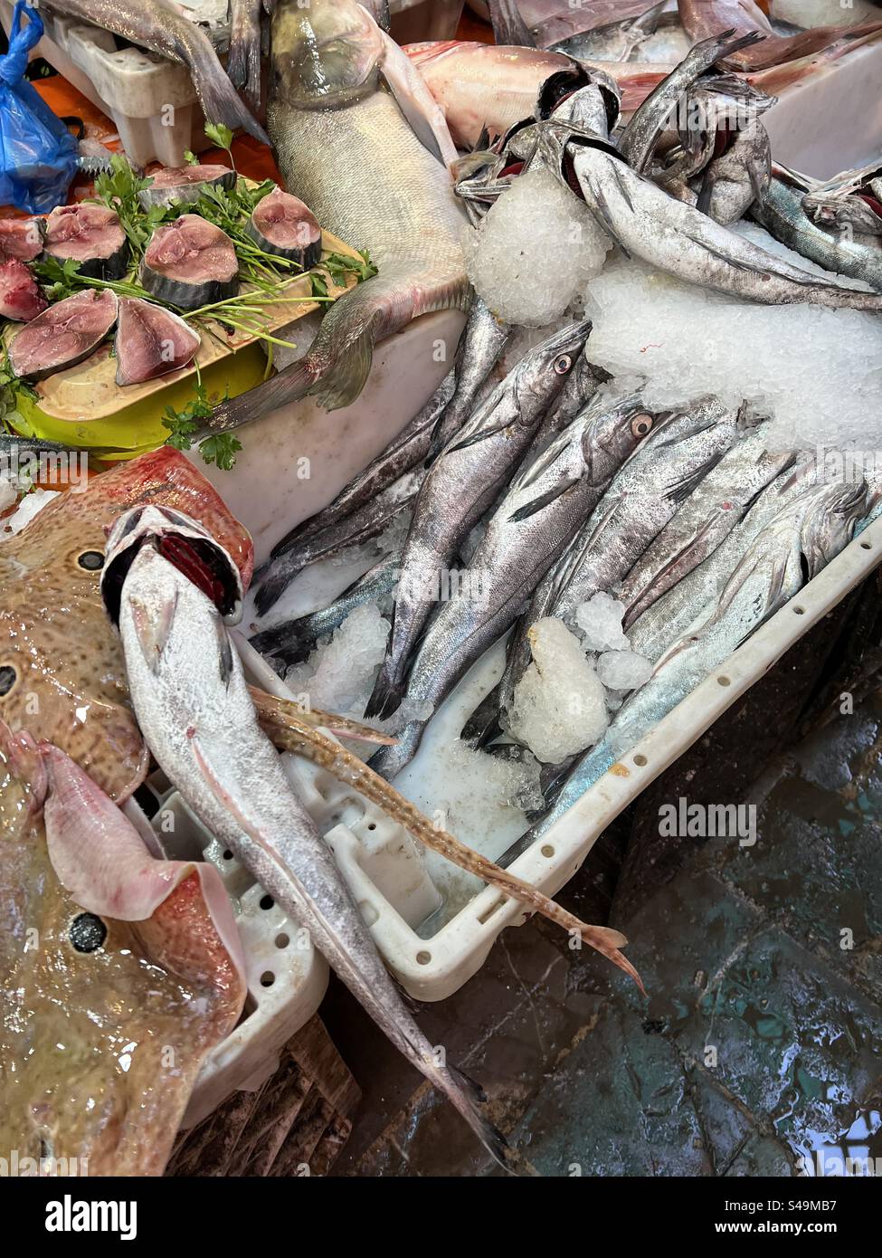 Fish on a souk Stock Photo