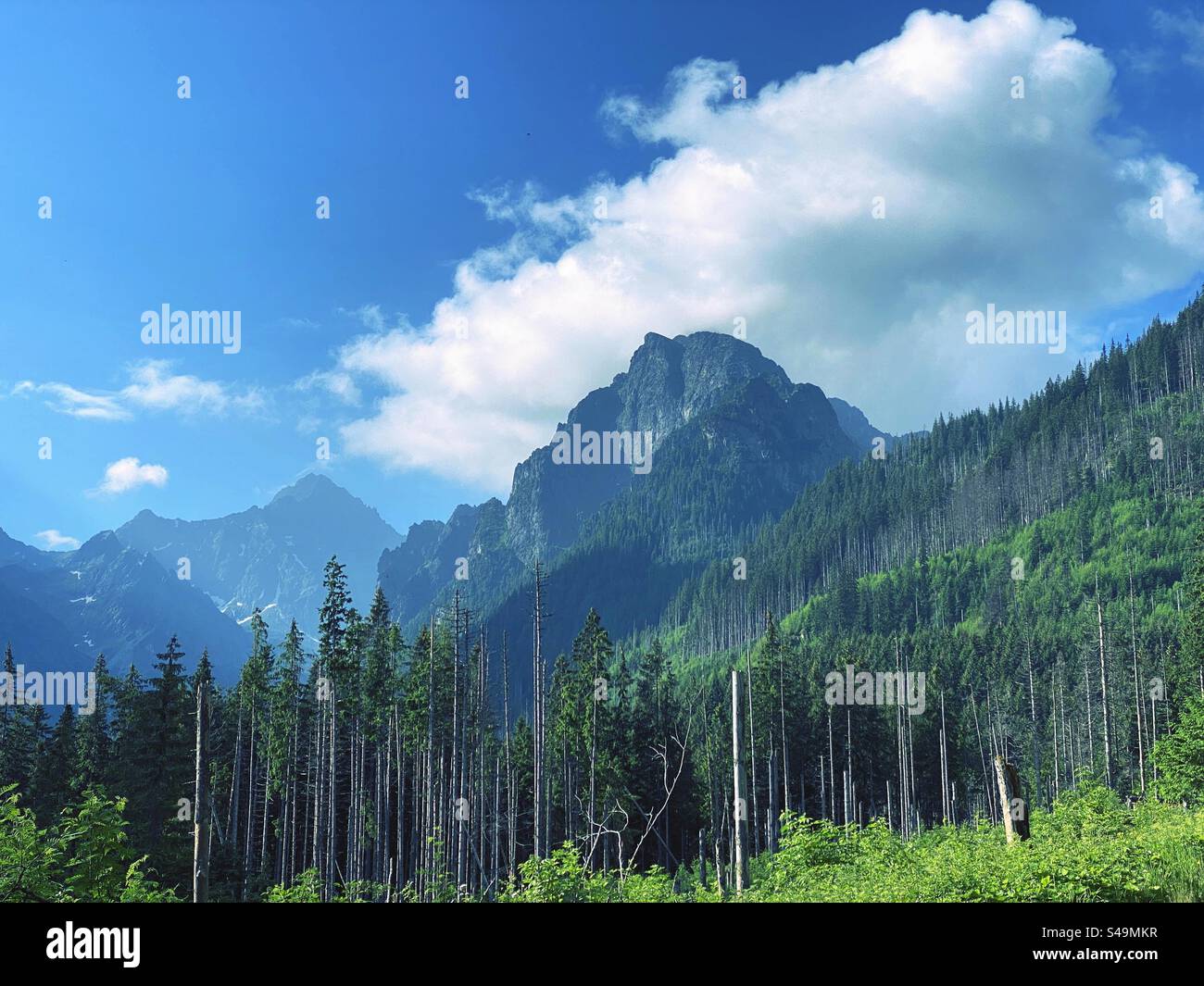 Mountain in Tatra - Smartphone Captured Stock Image