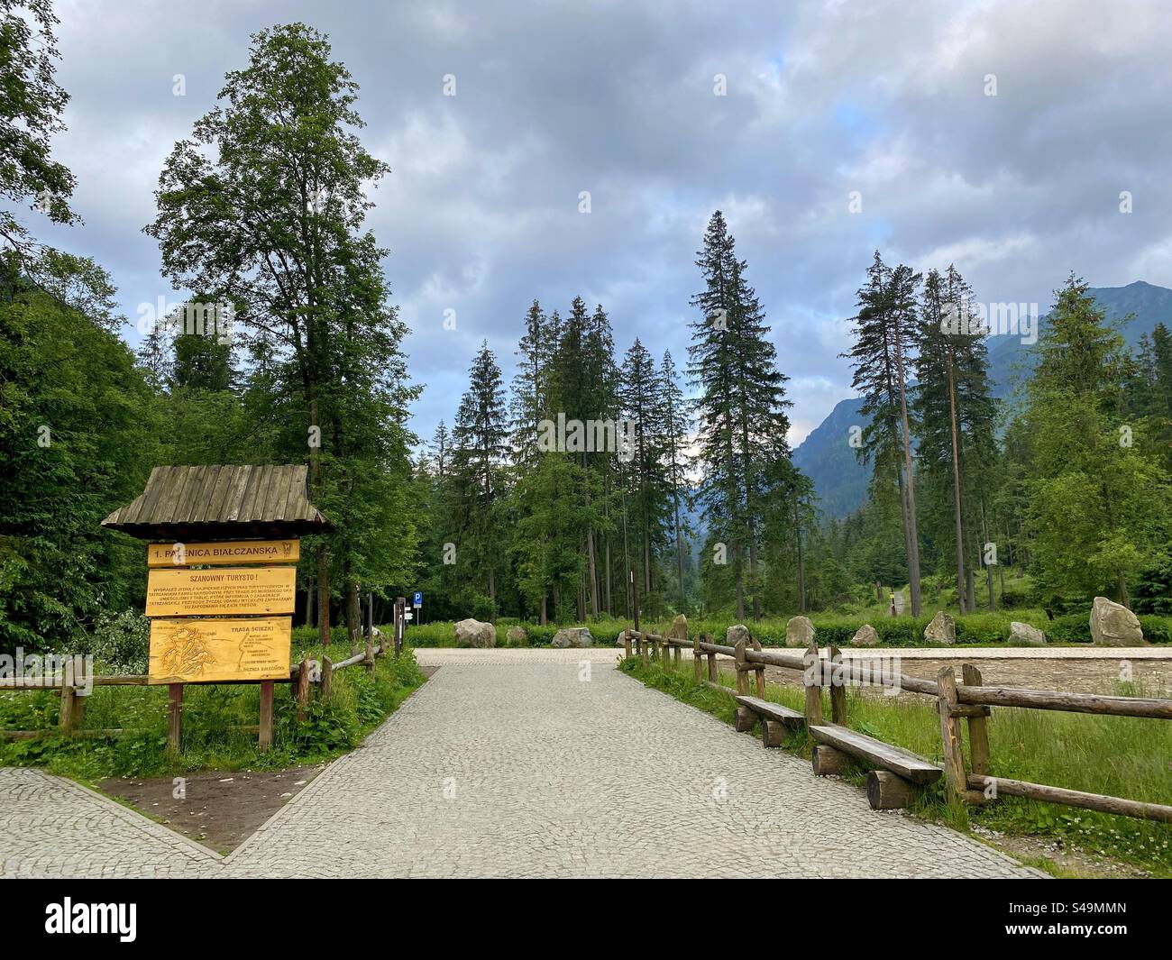 Tatra National Park - Smartphone Captured Stock Image