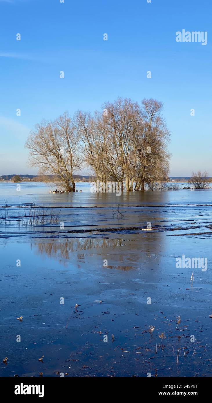 Narew river in Poland - Smartphone Captured Stock Image