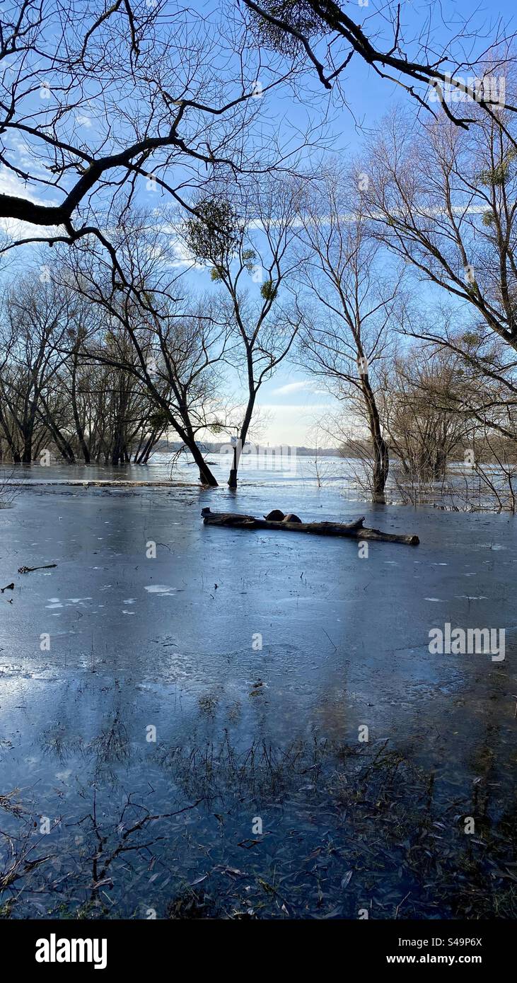 Narew river in Poland - Smartphone Captured Stock Image