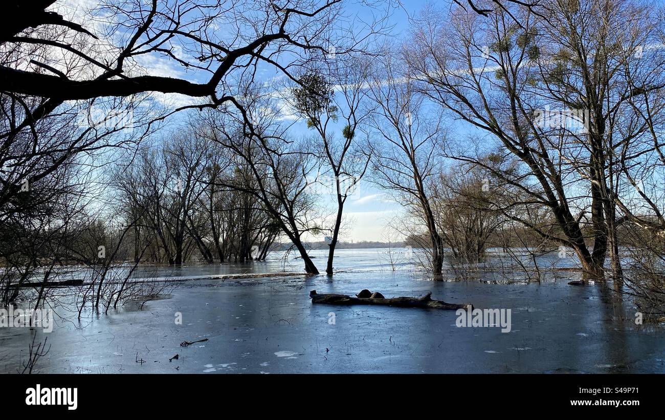 Narew river in Poland - Smartphone Captured Stock Image