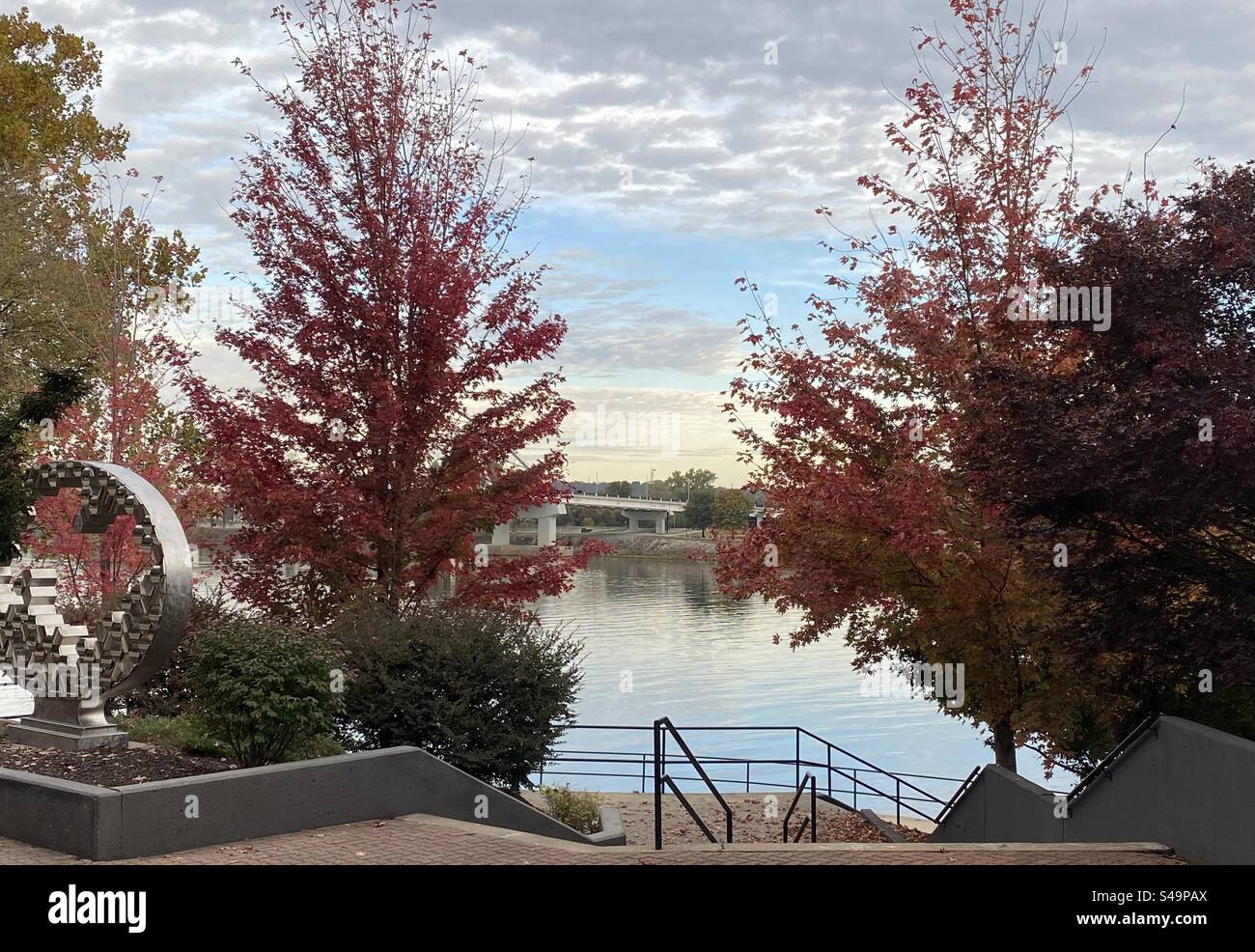 Harvest time - Smartphone Captured Stock Image