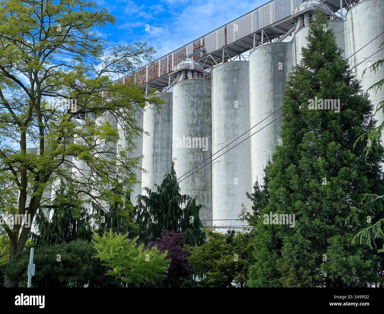 Grain silos - Smartphone Captured Stock Image