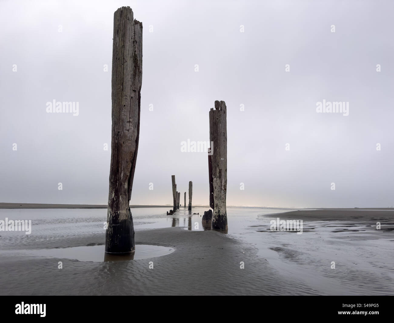 Wooden pilings from an abandoned pier at the beach - Smartphone Captured Stock Image