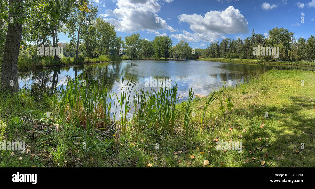 Bower Ponds in summertime. Red Deer, Alberta, Canada. - Smartphone Captured Stock Image