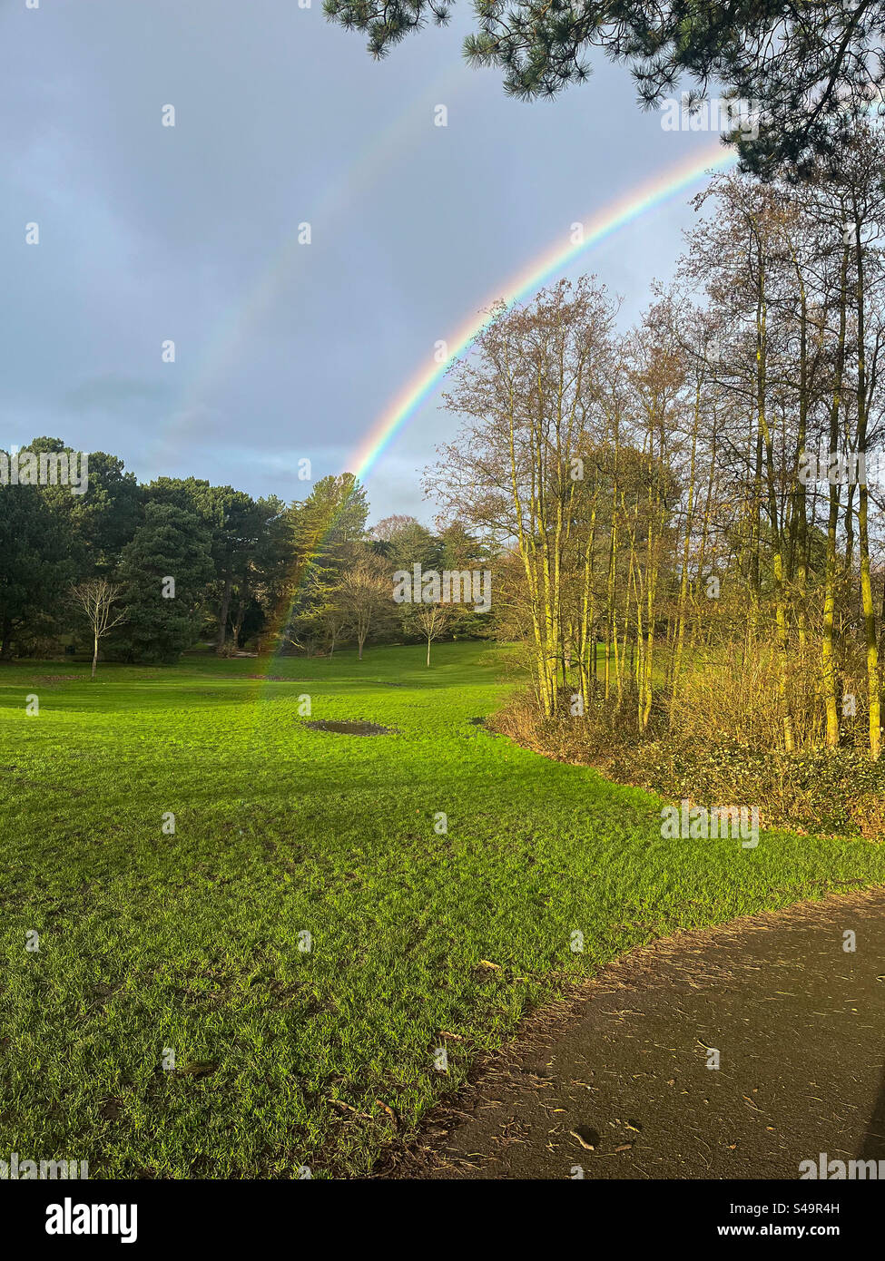 Rainbow grass hi-res stock photography and images - Alamy