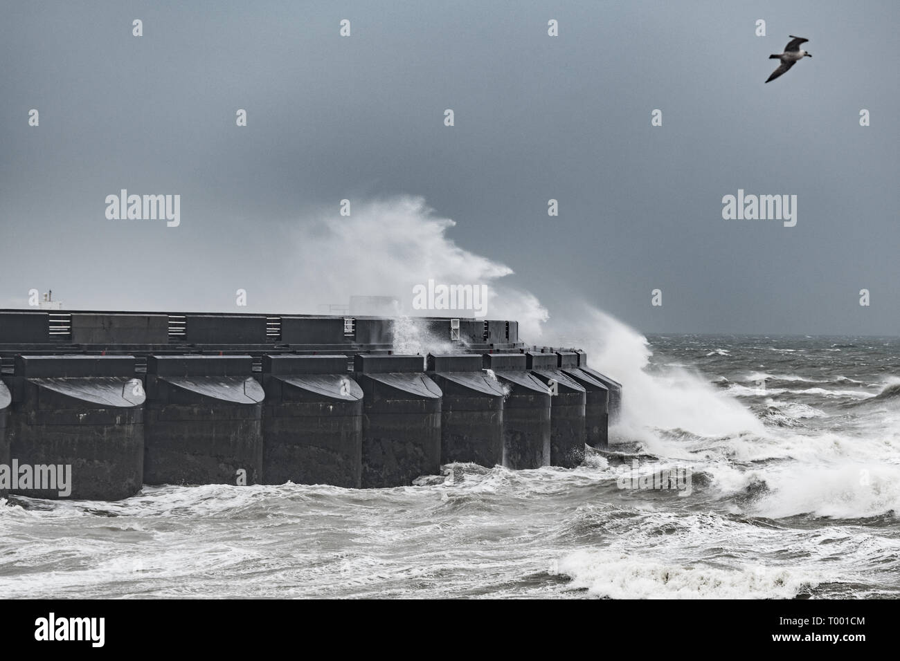 Storm Hannah hits Brighton Marina Stock Photo
