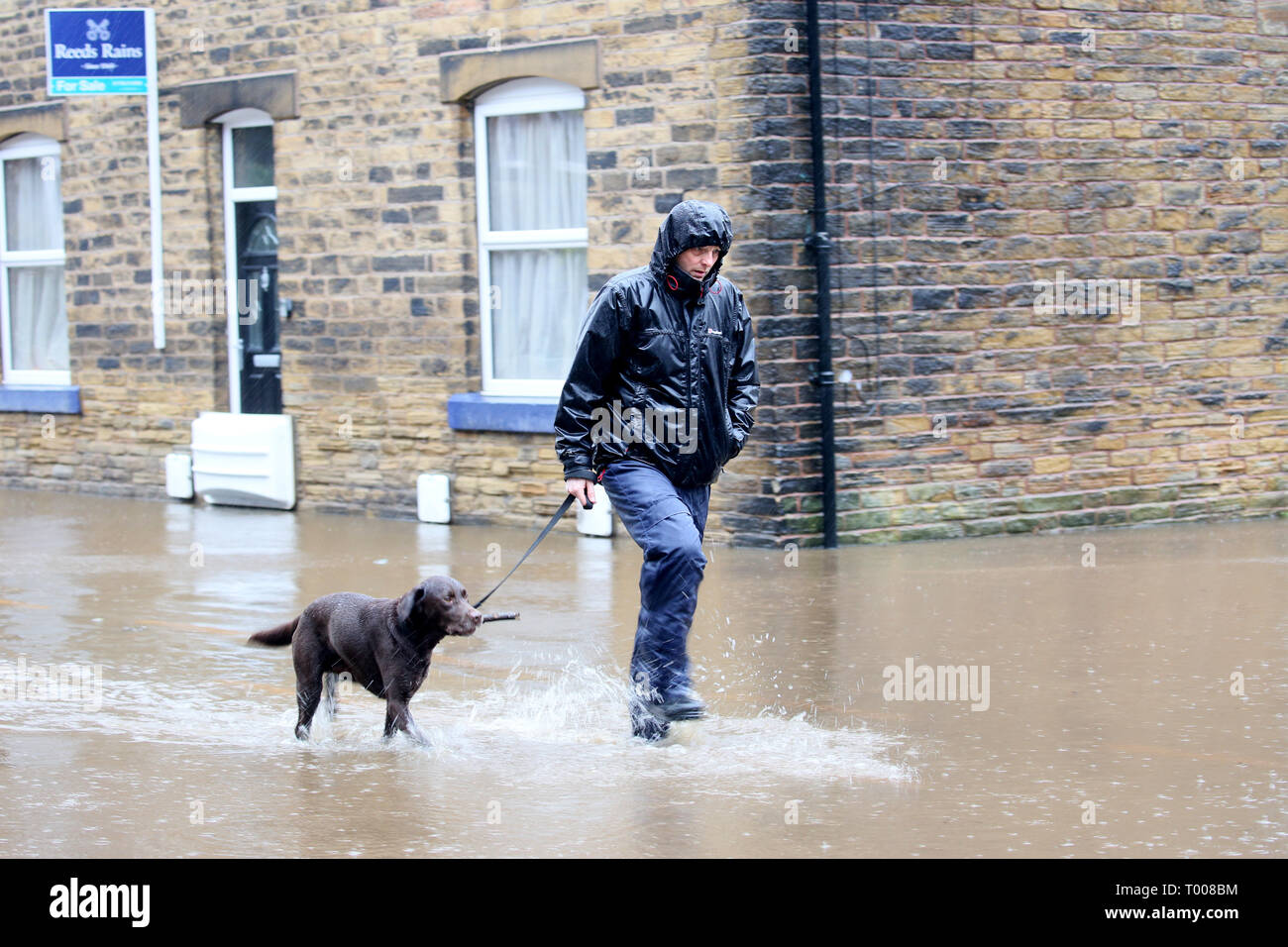 Walsden,Todmorden, Calderdale, UK. 16th March 2019. A dog been walked during heavy rainfall which has caused flooding in the Calder Valley. Walsden,Todmorden, Calderdale, UK, 16th March 2019 (C)Barbara Cook/Alamy Live News Credit: Barbara Cook/Alamy Live News Stock Photo