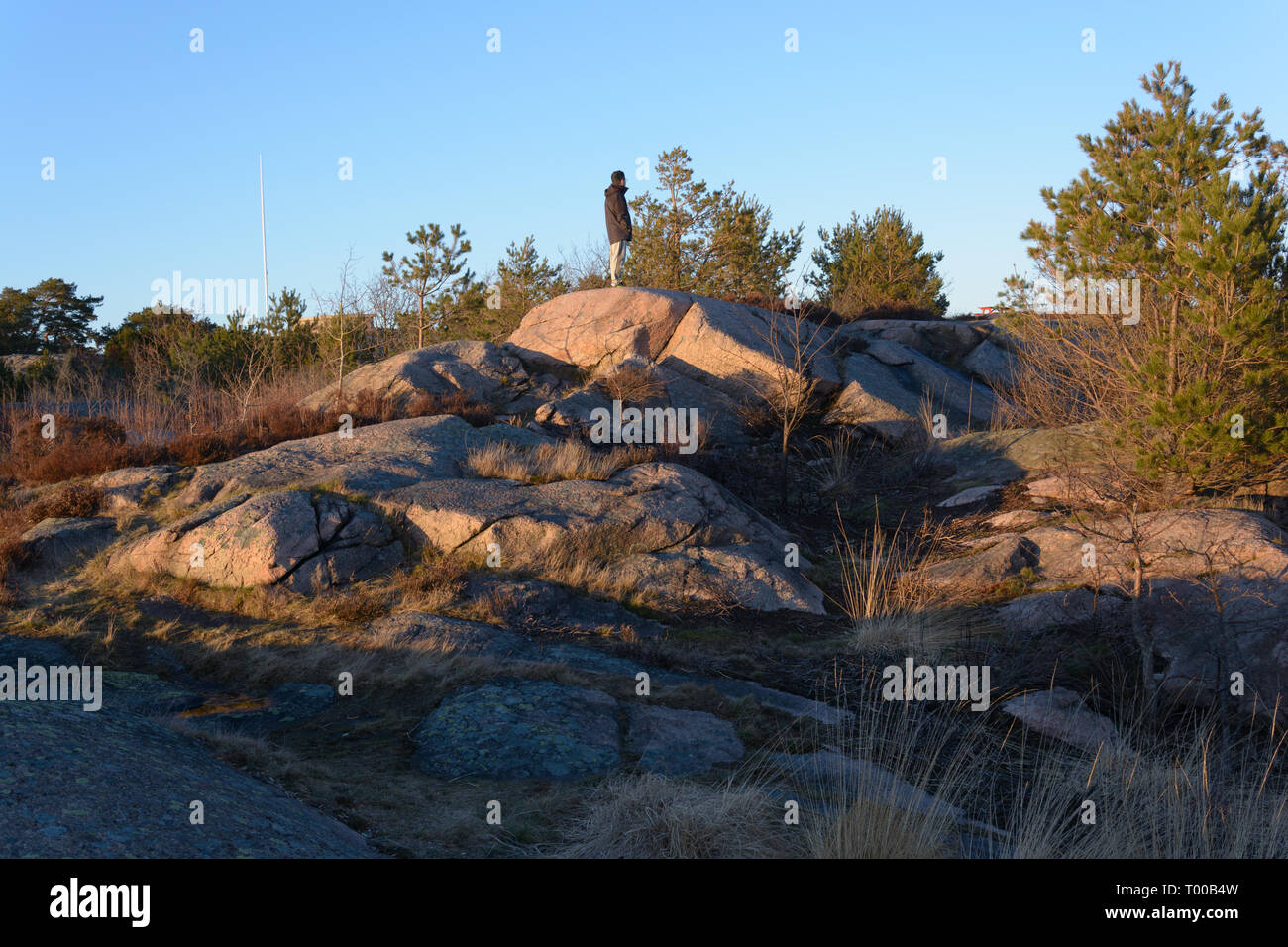 An adult man standing on top of ramberget hill and witnessing sunset Gothenburg ,sweden Stock Photo
