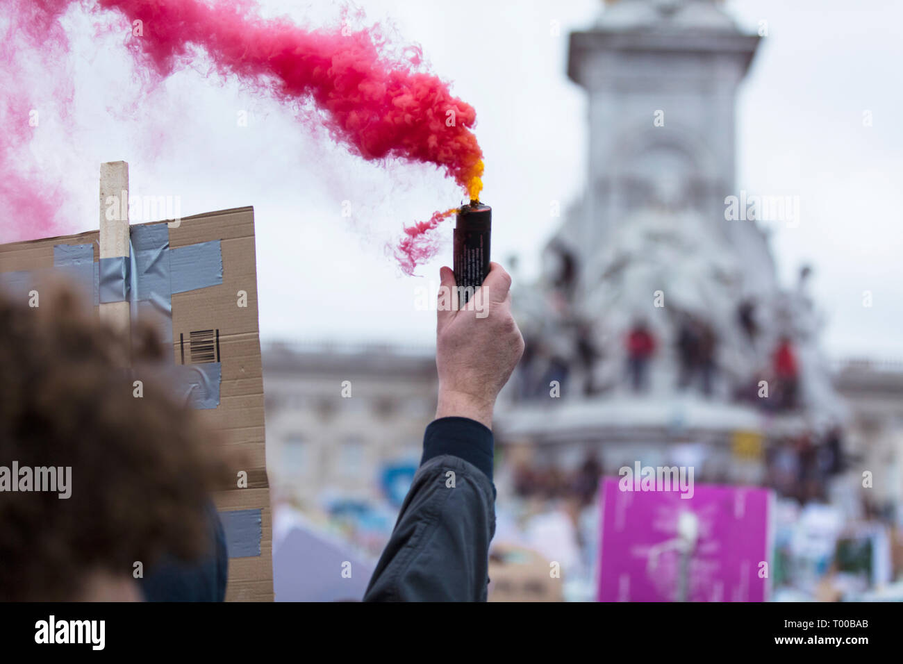 A protestor holds a smoke bomb at a political demonstration Stock Photo