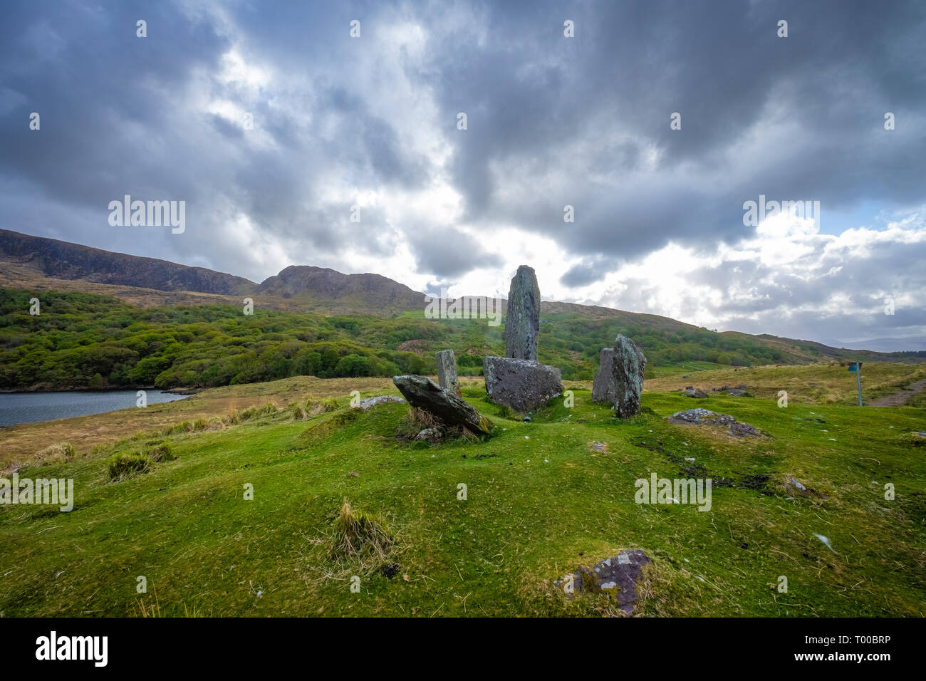 Curragh Rocks Uragh stone circle hi-res stock photography and images - Alamy