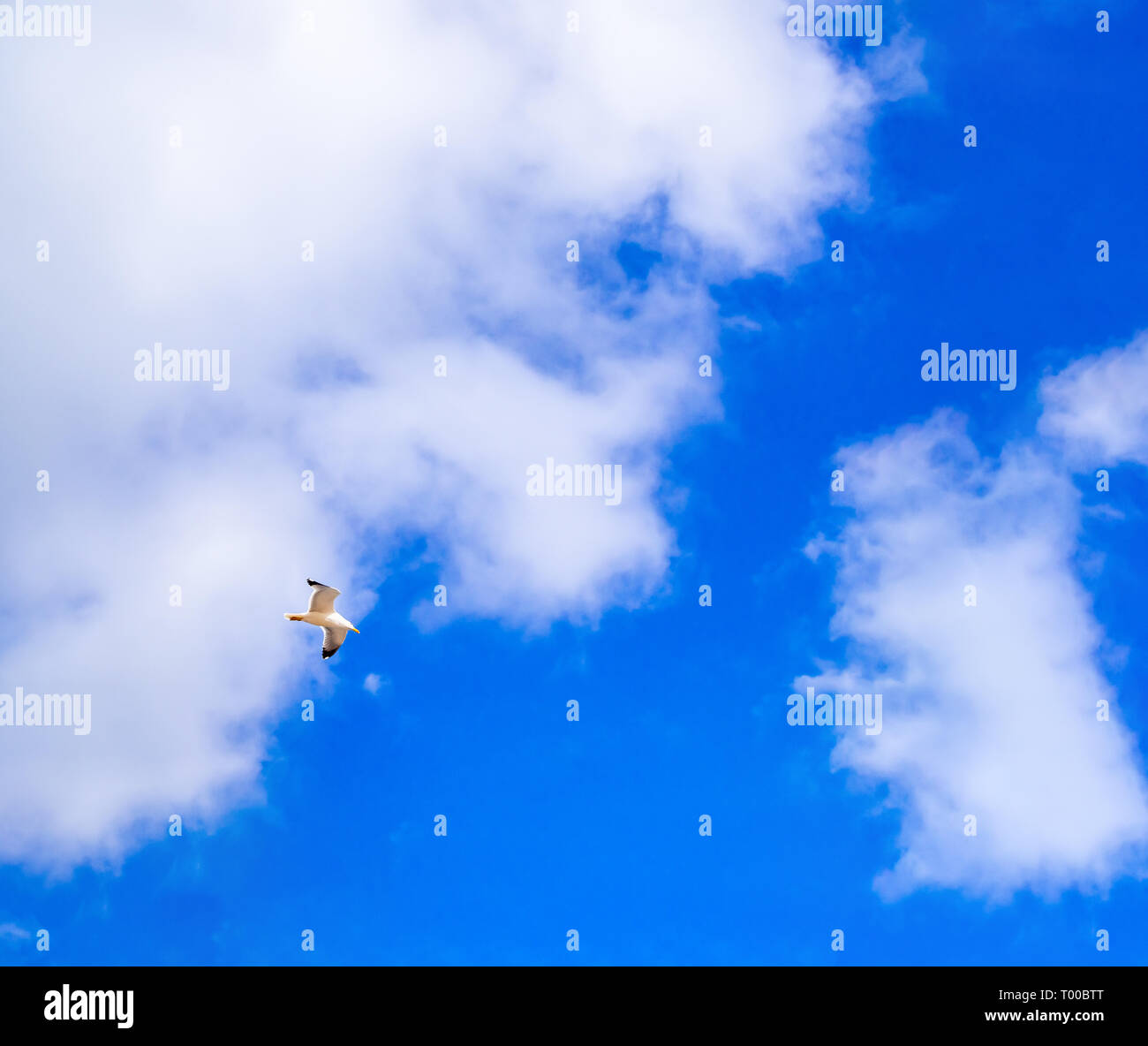 Blue clouded sky hi-res stock photography and images - Alamy