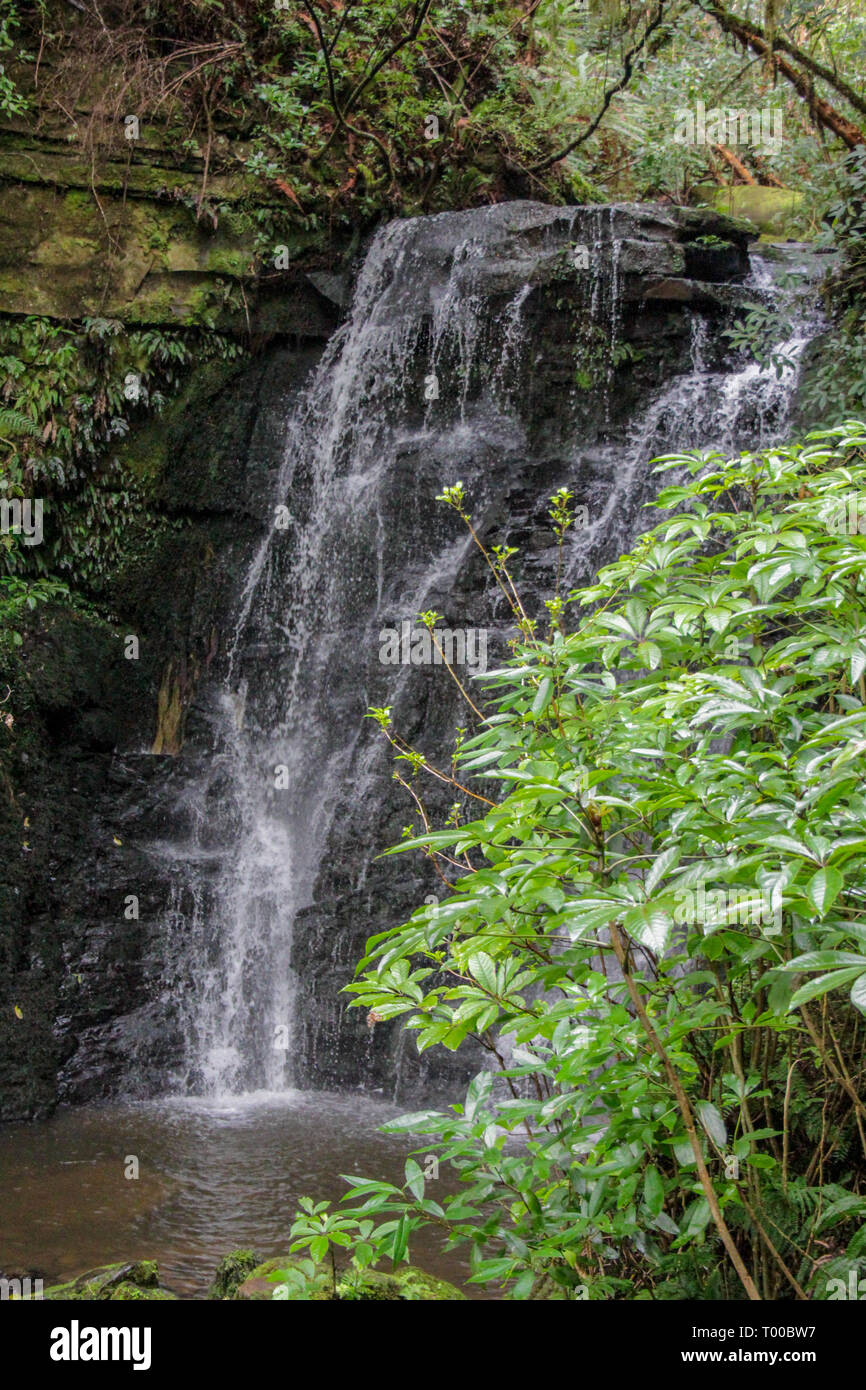 Horseshoe Falls at The Catlins, South Island of New Zealand Stock Photo