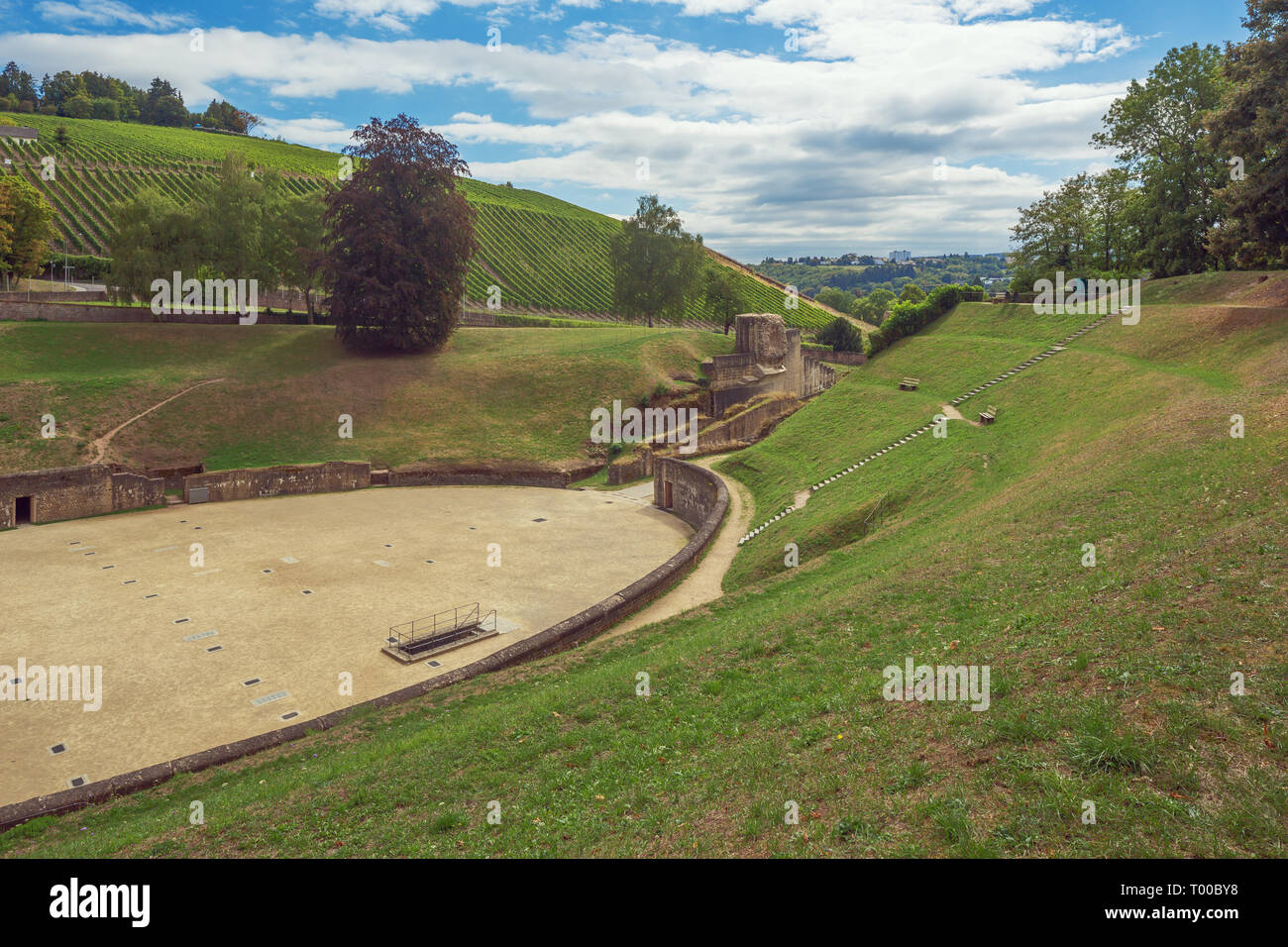 Vineyards reaching till the roman amphitheater in Trier Stock Photo