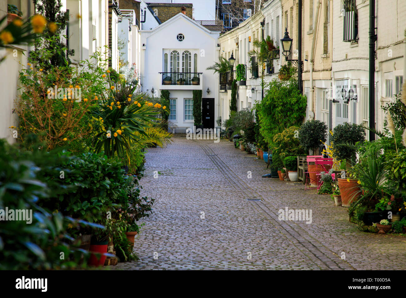 LONDON, UK - MARCH 11th, 2019:Pots with plant are being displayed in peoples front gardens in elegant area of Kensington and Chelsea in Central London Stock Photo