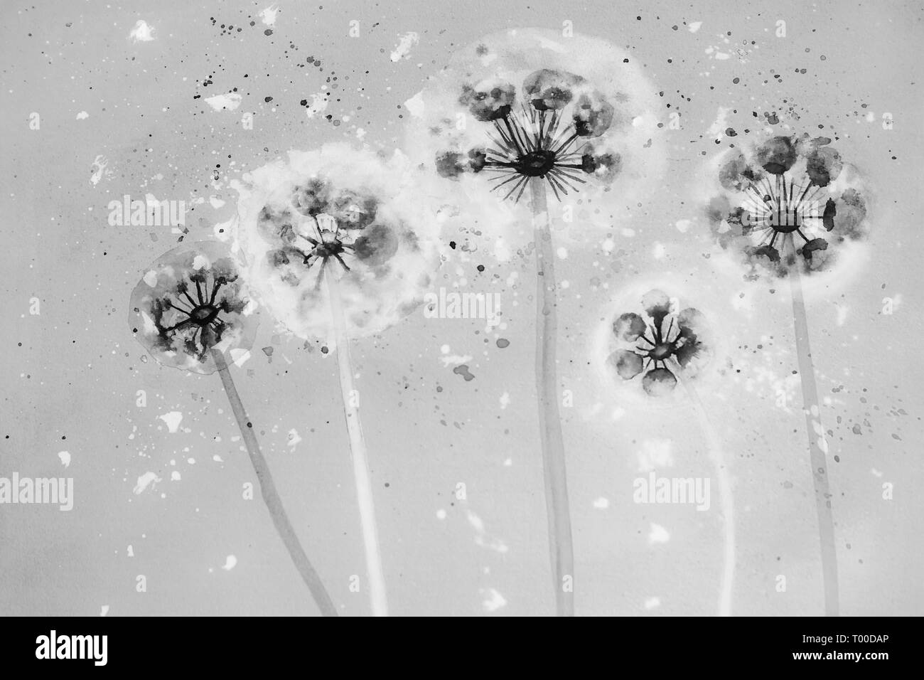 Watercolor flowers in difWatercolor round flowers against the sky. Black and white illustration Stock Photo