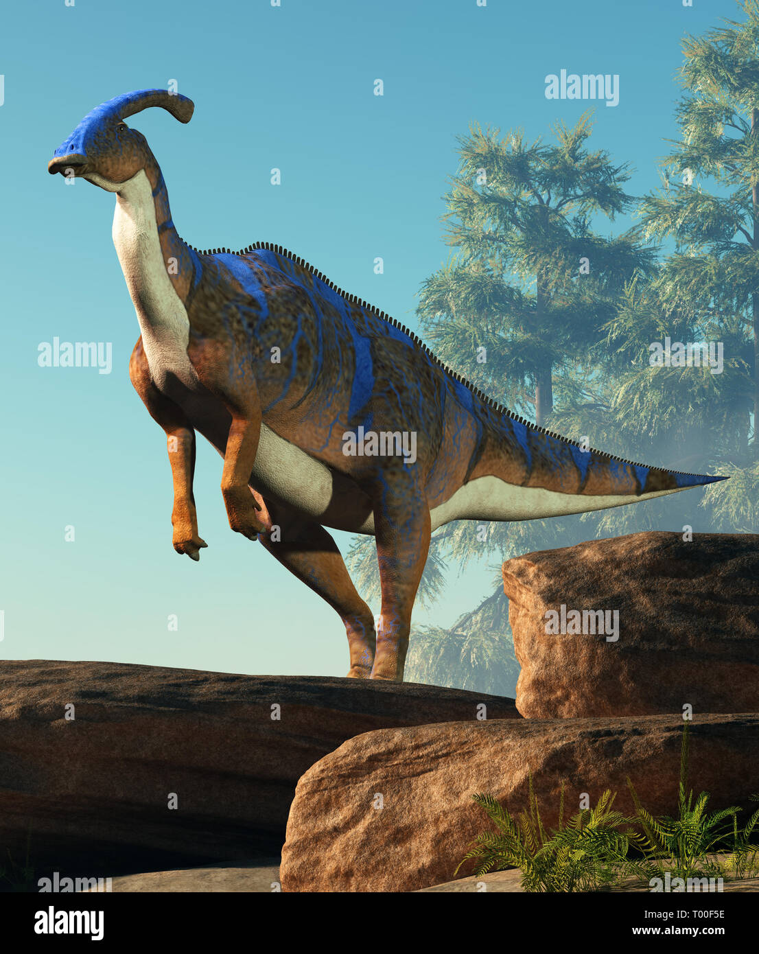 A parasaurolophus, a type of herbivorous ornithopod dinosaur of the hadrosaur family stands on two legs.  This prehistoric animal is on a rocky cliff. Stock Photo