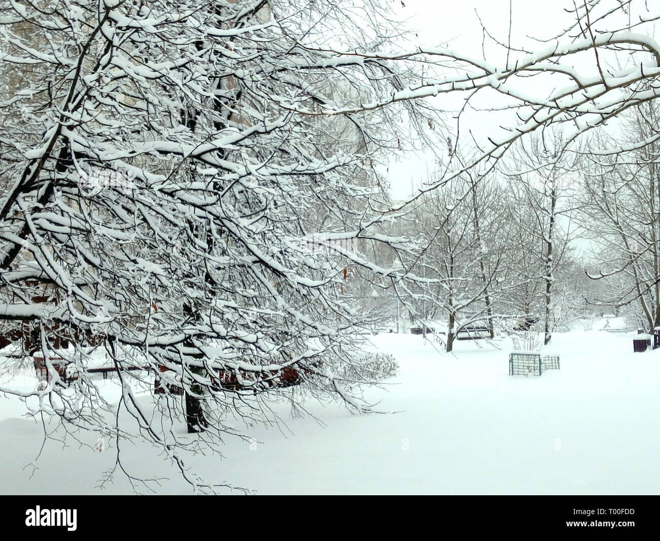 city park after snowfall at day Stock Photo - Alamy