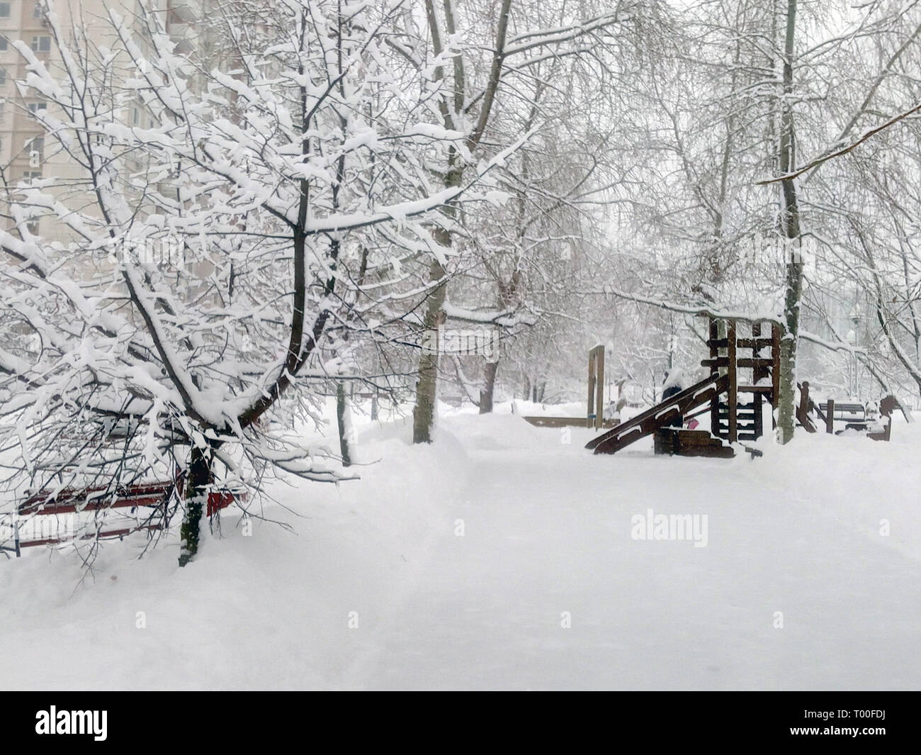 city park after snowfall at day Stock Photo - Alamy