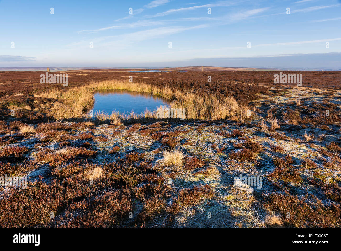 On the remote landscape of the Durham Moors in the North Pennines a peat pond in boggy upland heather moorland Stock Photo