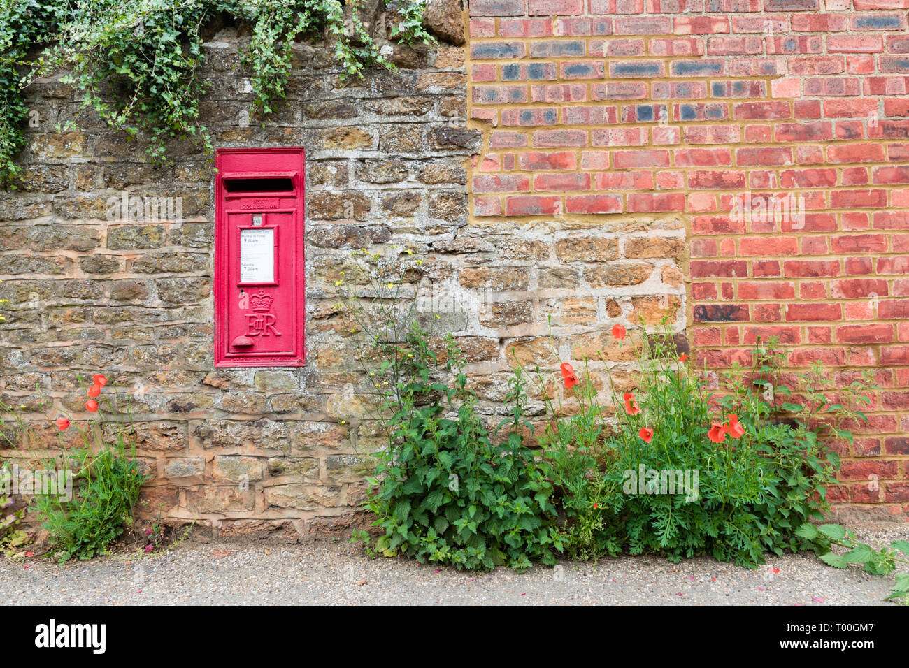 A red village post box set into a stone wall. Ivy hangs over the top of the wall and at the bottom poppies and nettles are growing. Stock Photo