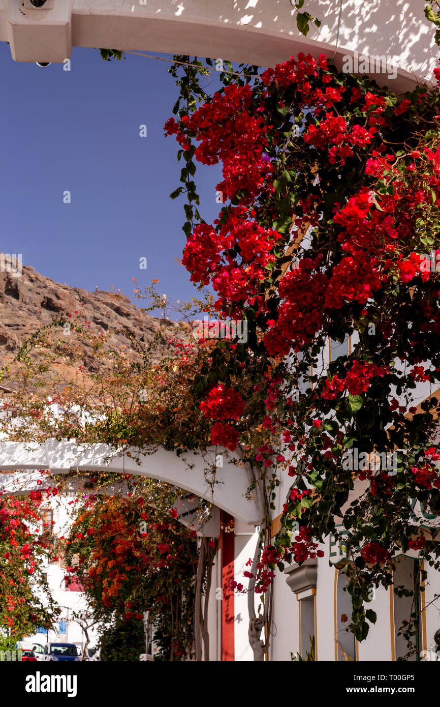 Houses with flowers at Puerto de Mogan, Gran Canaria, Canary Islands Stock Photo