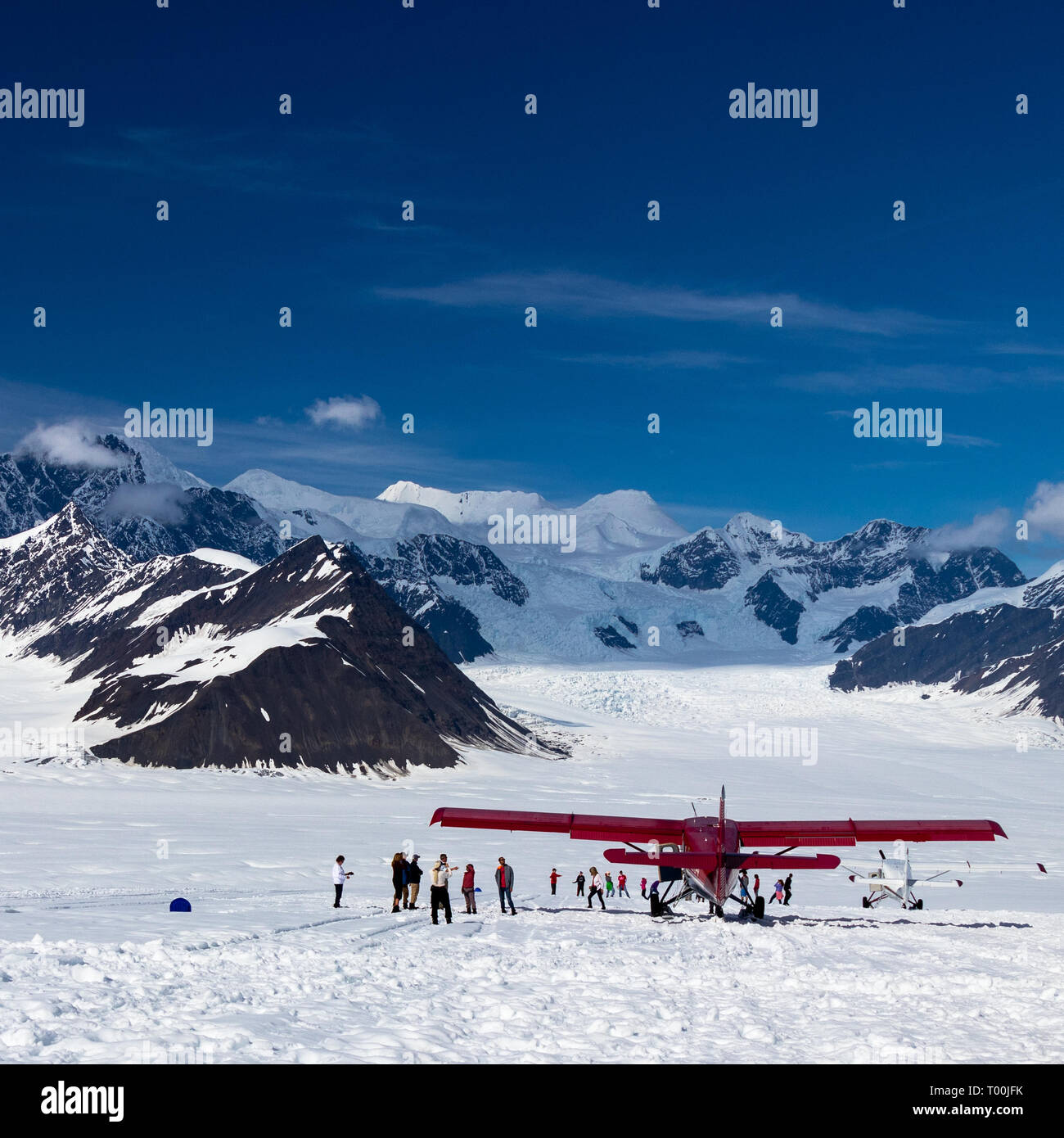 Tourist flight walking on glacier in the Alaska Range Stock Photo