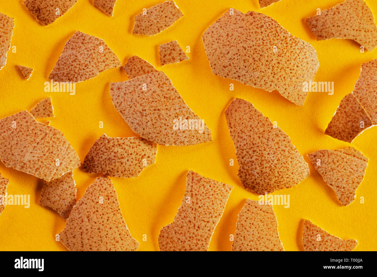 Broken chichen eggshell close up on a colored background ,brown surface with dark brown spots , abstract effect Stock Photo