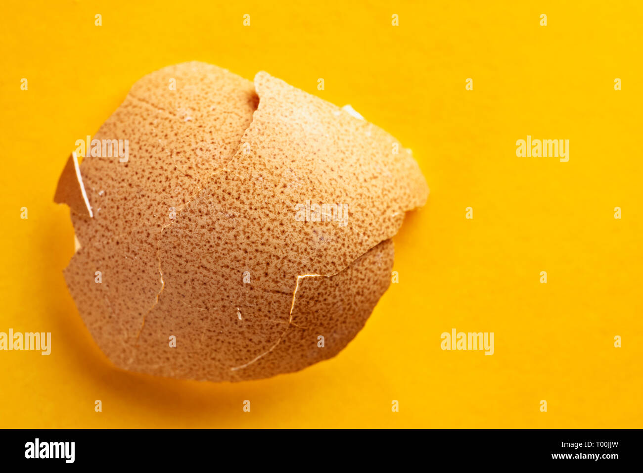 Broken chichen eggshell close up on a colored background , brown surface with dark brown spots Stock Photo