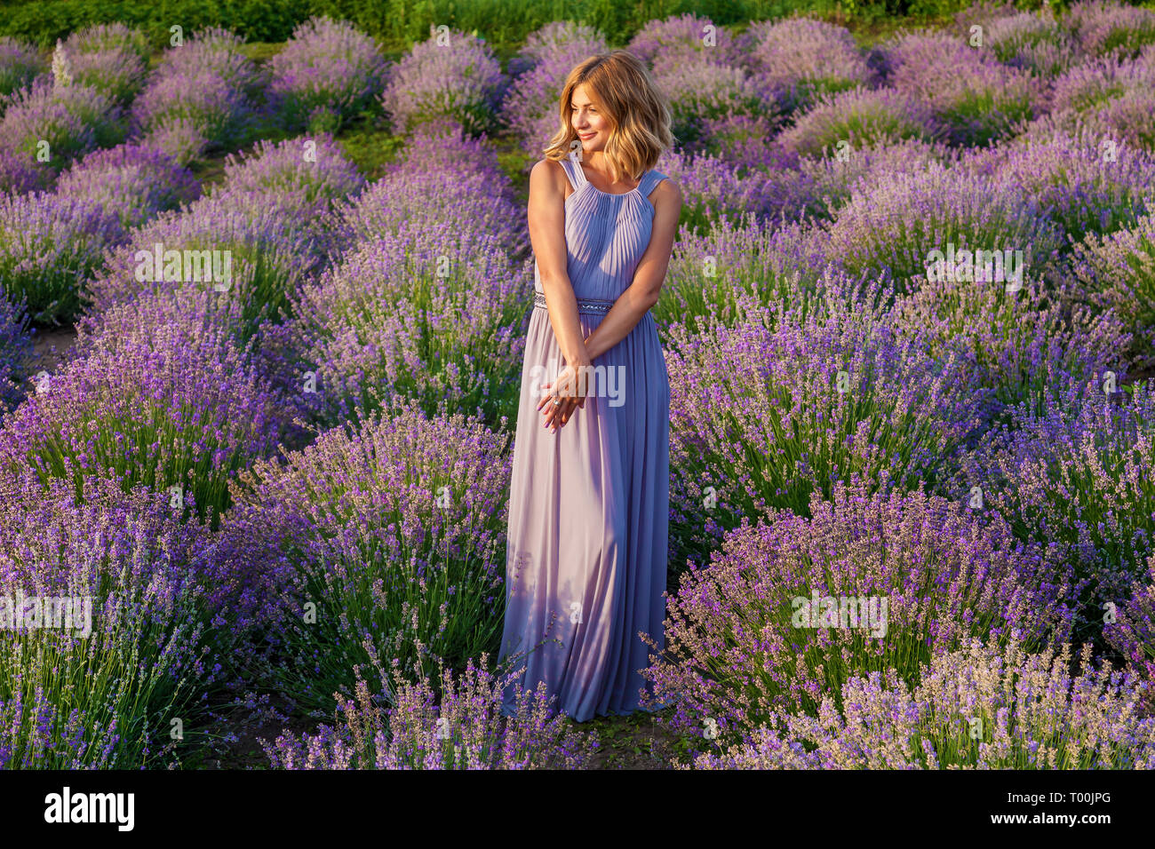 Beautiful girl in a purple dress posing on a lavender field Stock Photo ...