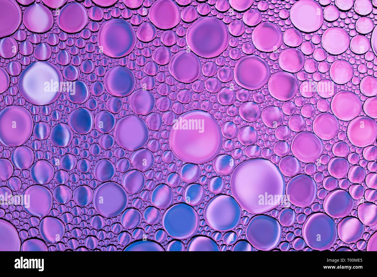 Bright abstract bubbles or water drops background. Natural backdrop. Stock Photo