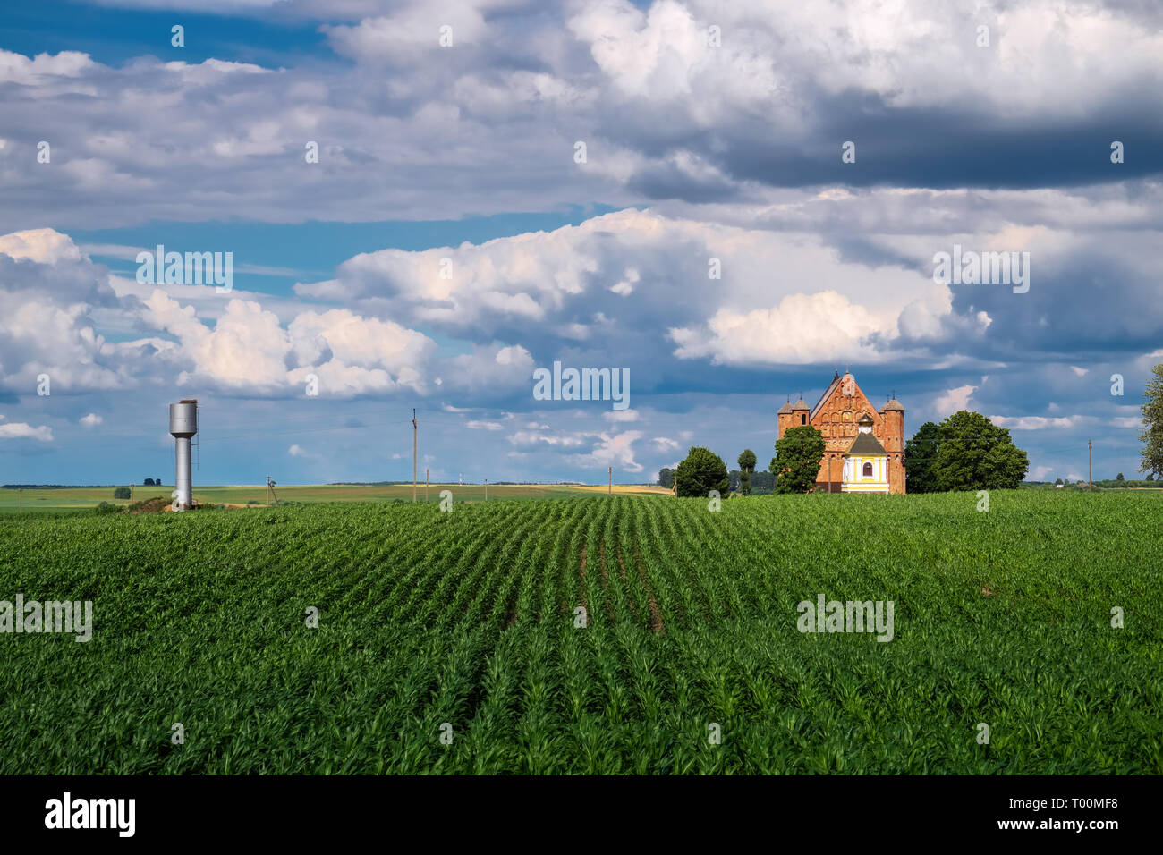 Old 15th century St Michael fortified church is in a summer landscape in Synkovichi village, Grodno region, Belarus. Stock Photo