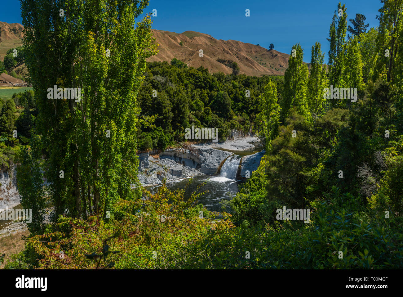 Ruakawa Falls, surrounded by lush foliage, in New Zealand's North Island. Stock Photo