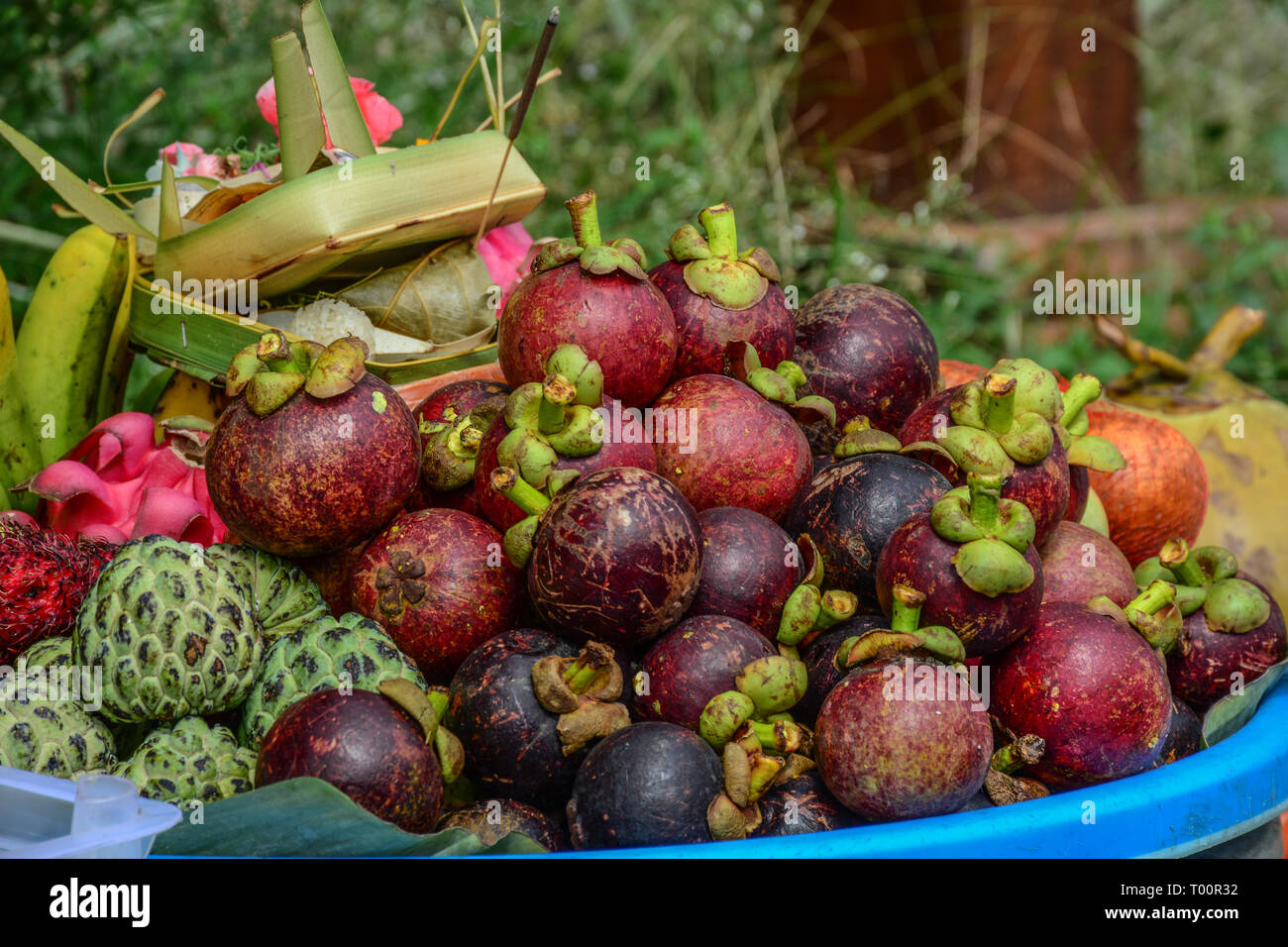 The orchard bali hires stock photography and images Alamy
