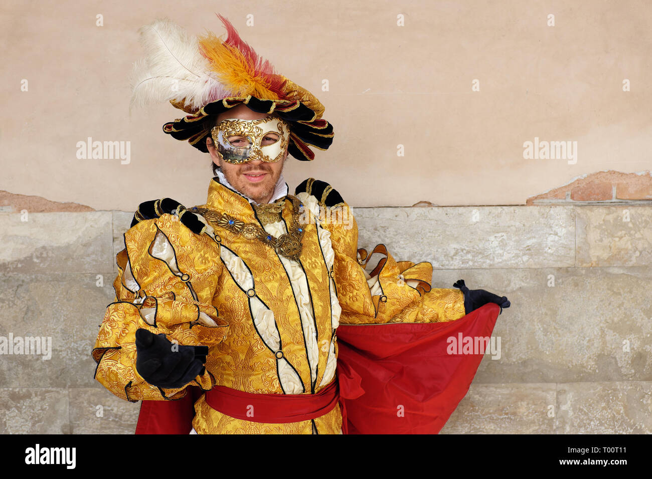 Male carnival mask hi-res stock photography and images - Page 3 - Alamy