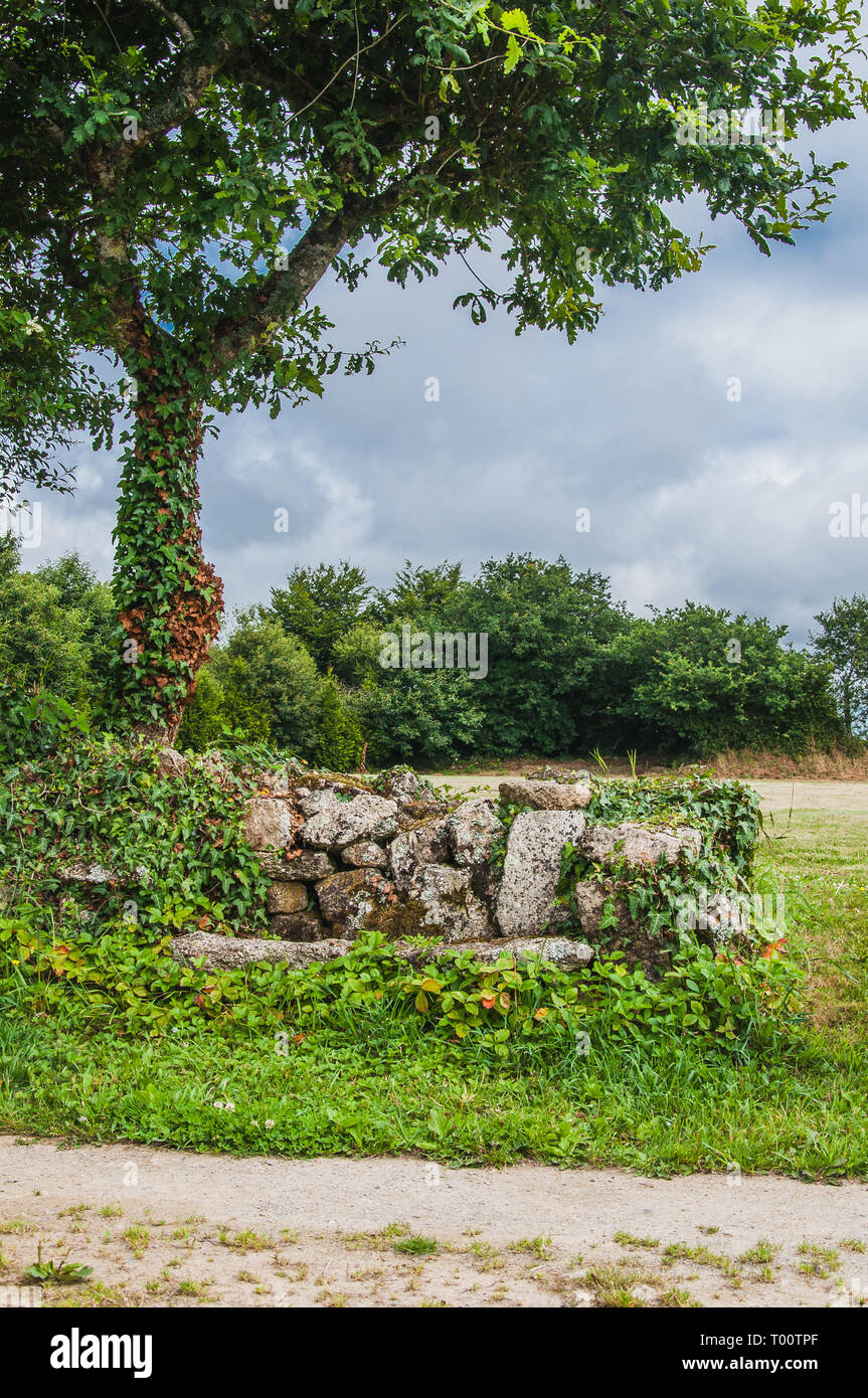 Stone bench at the foot of a tree in Finistere in France under a cloudy sky Stock Photo